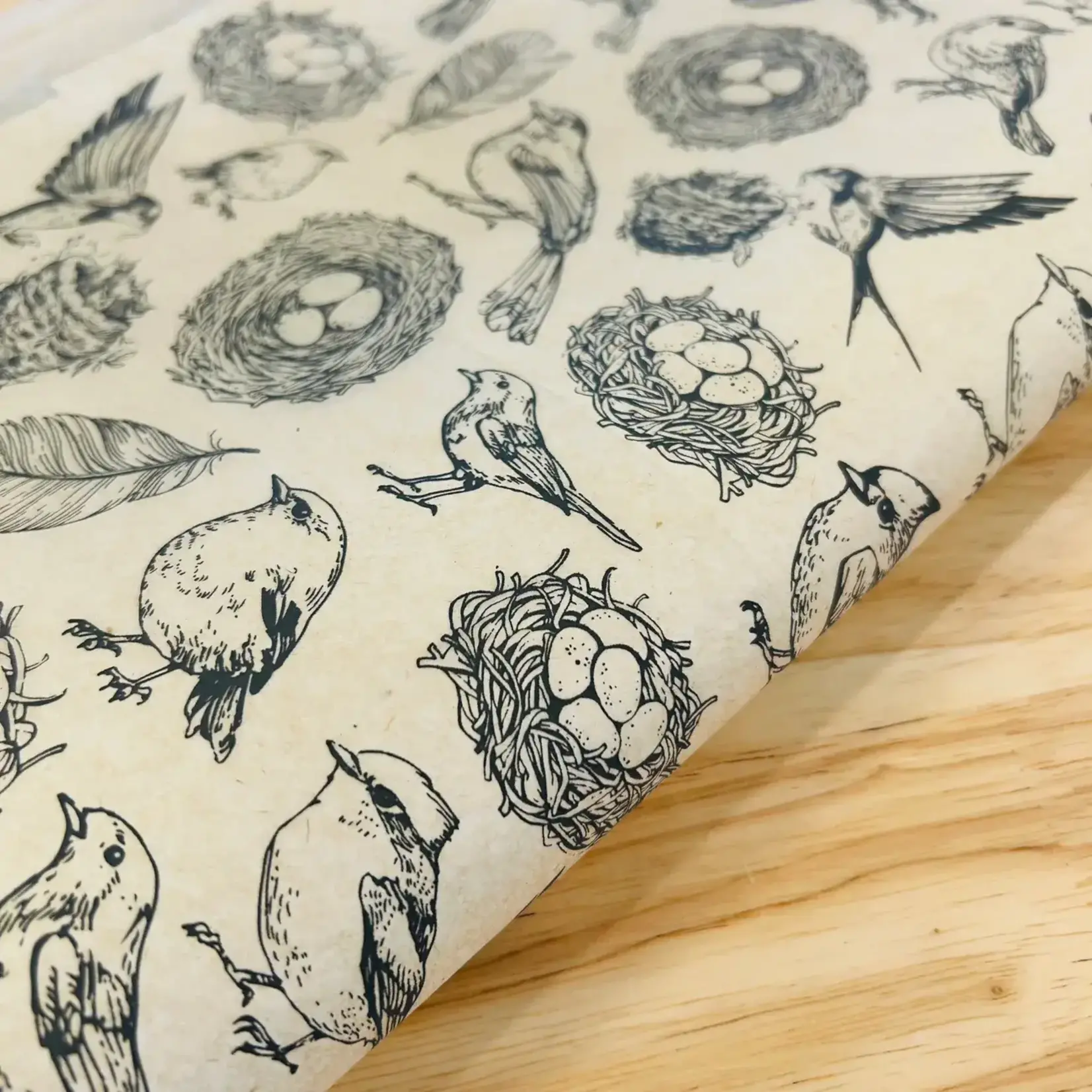 Elan Pottery Transfers Nests Underglaze Transfer Sheet - Black