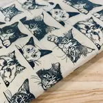 Elan Pottery Transfers Zany Cats - Underglaze Transfer Sheet - Black