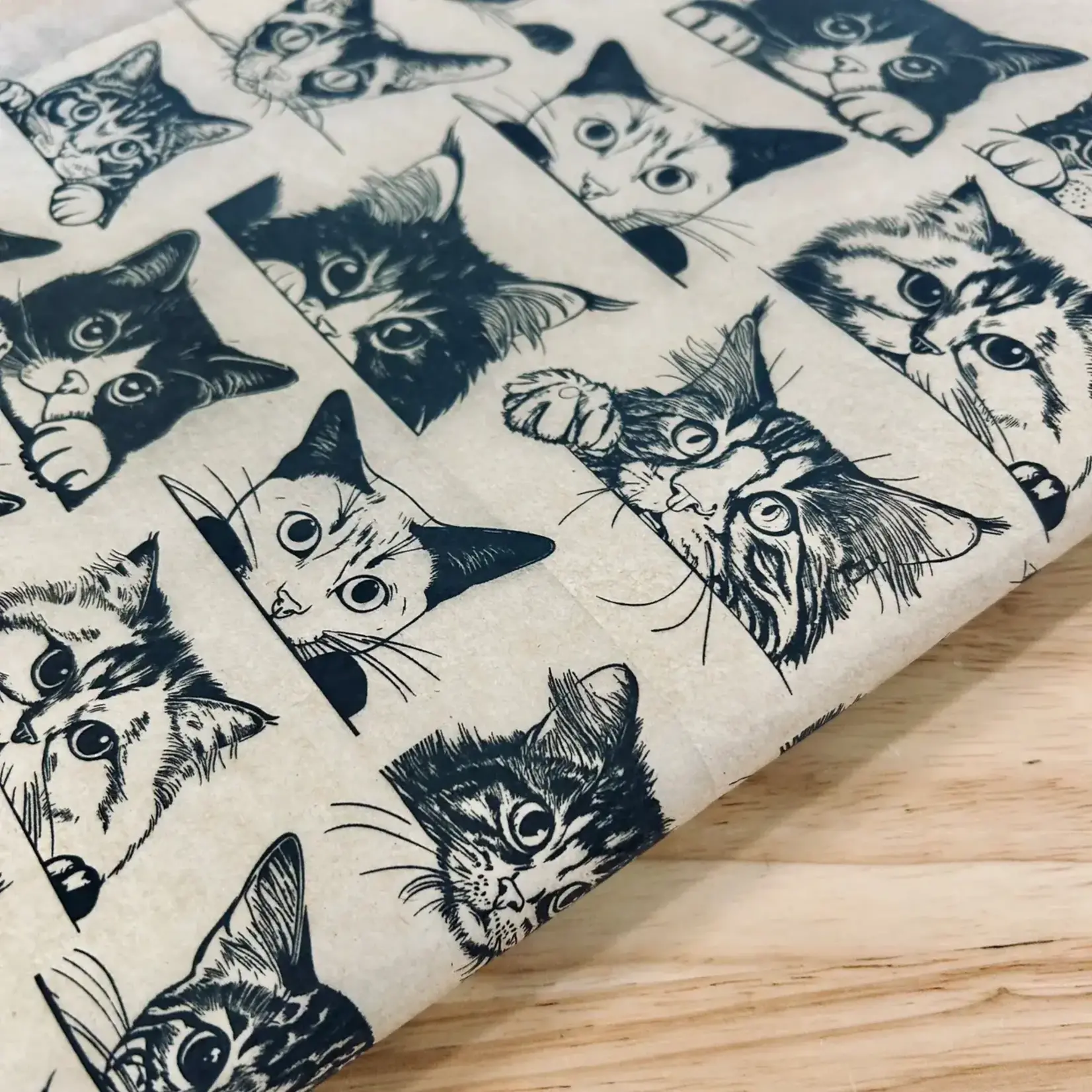 Elan Pottery Transfers Zany Cats - Underglaze Transfer Sheet - Black