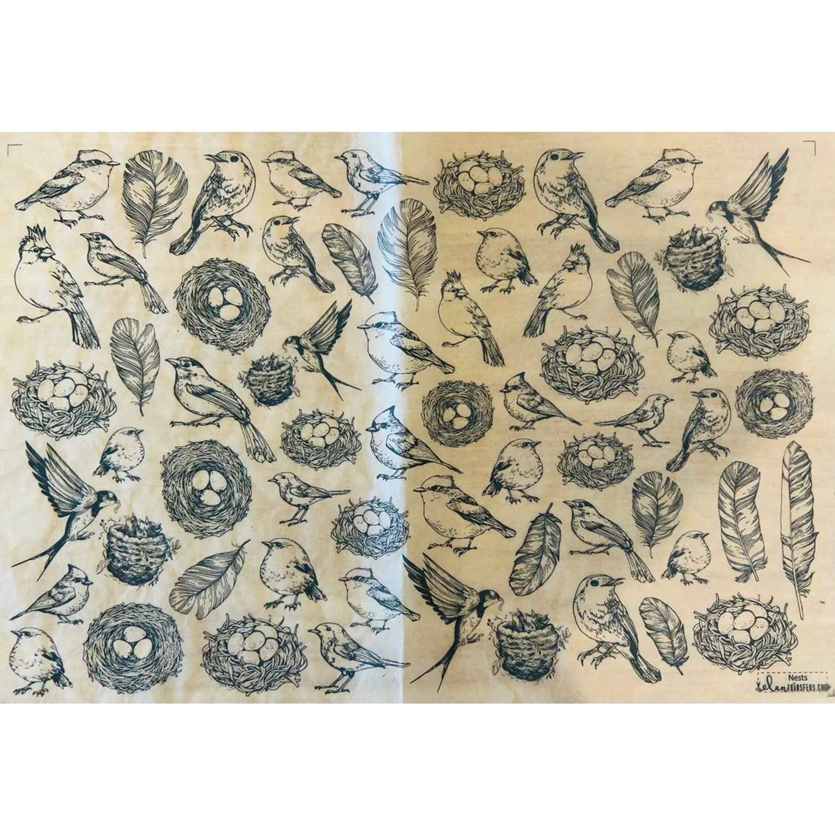 Elan Pottery Transfers Nests Underglaze Transfer Sheet - Black