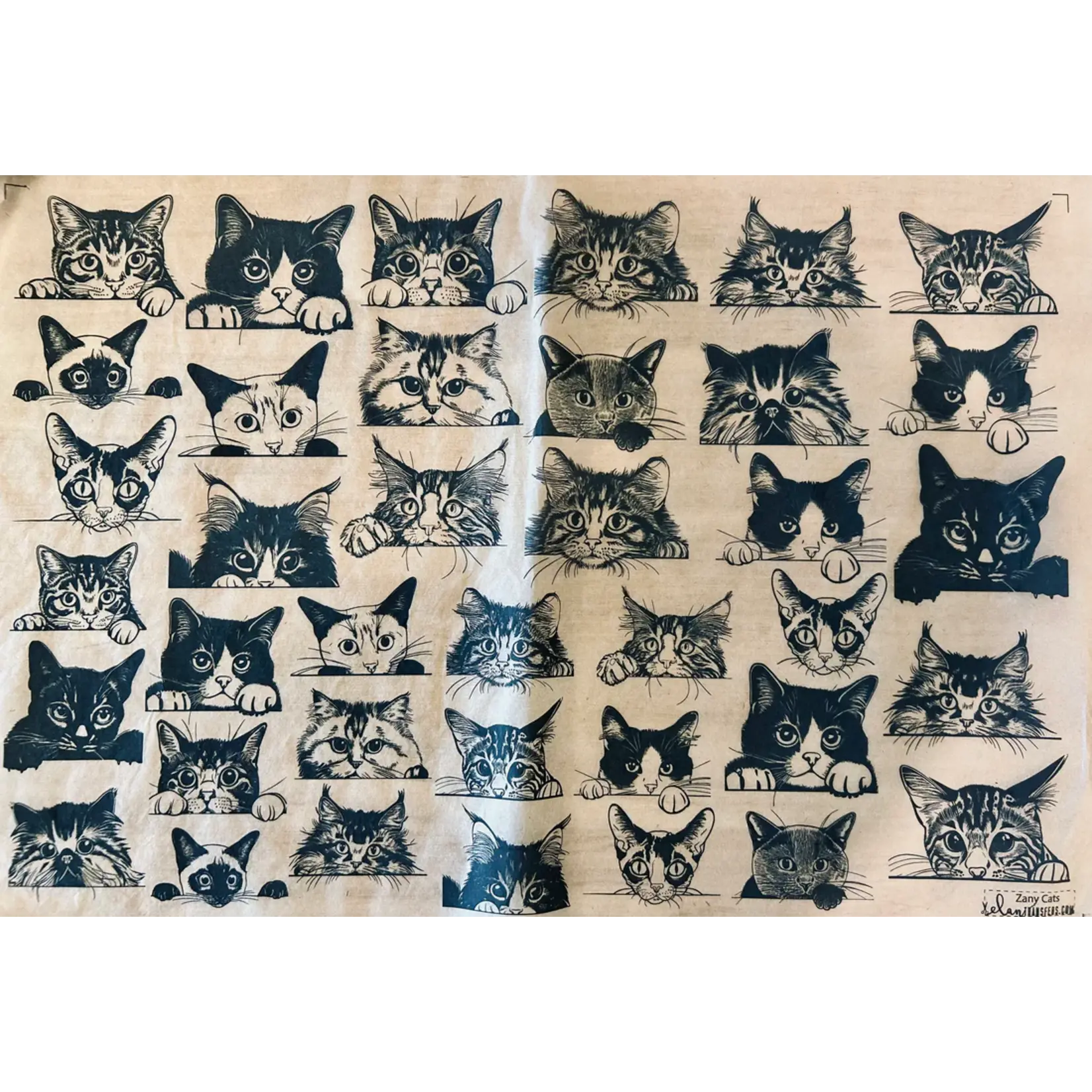 Elan Pottery Transfers Zany Cats - Underglaze Transfer Sheet - Black