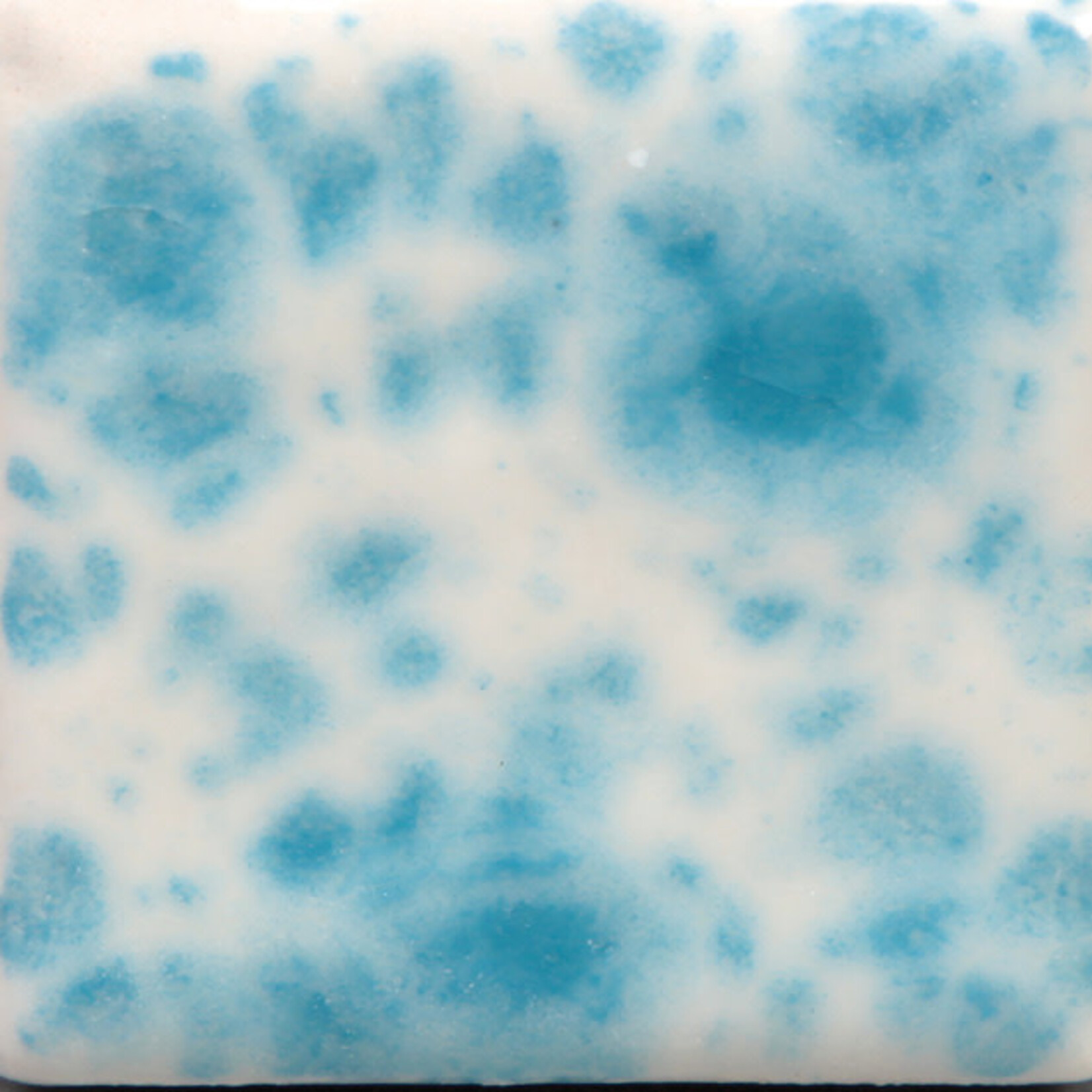 COLORAMICS, LLC MAYCO CG-788 DUTCH ENAMELWARE