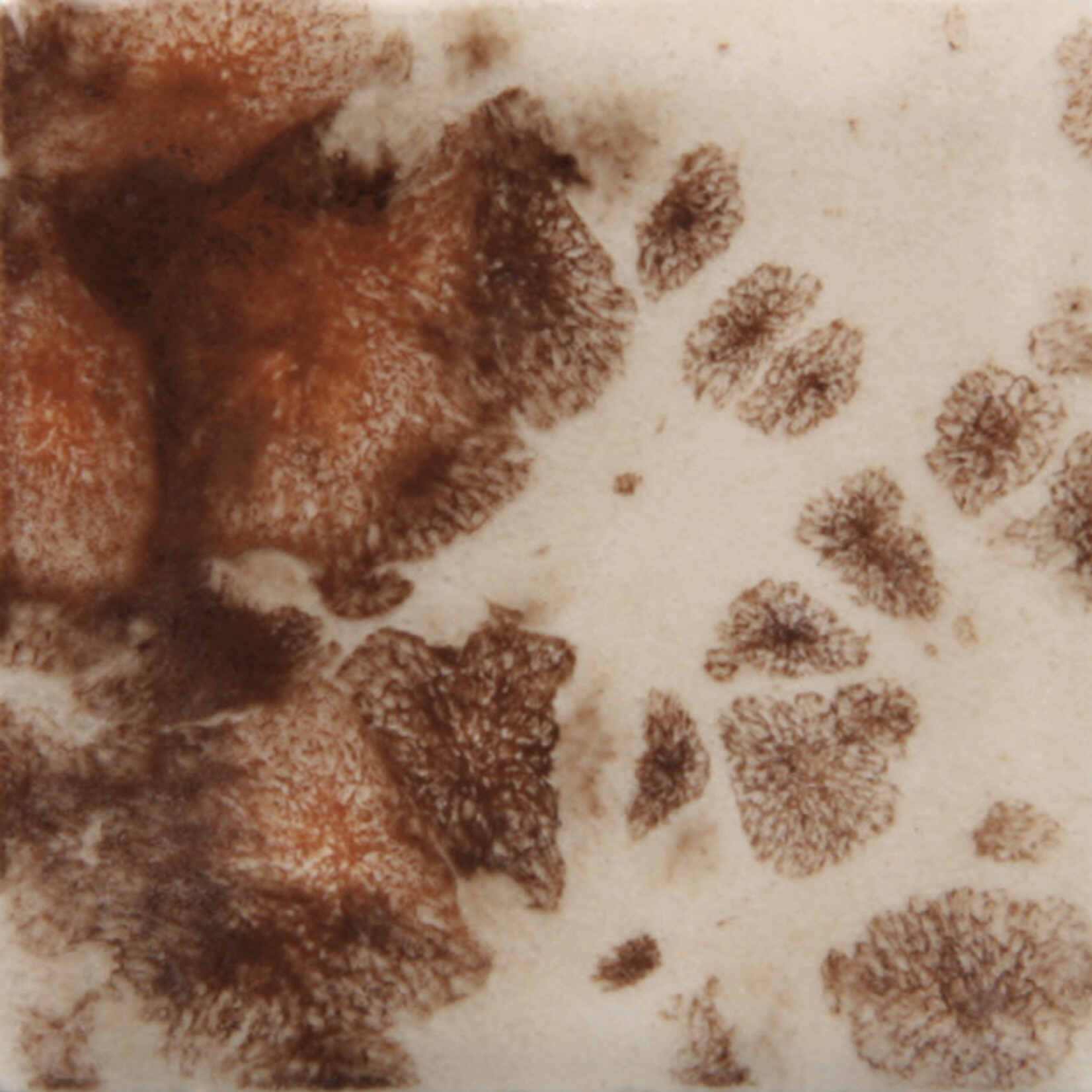 COLORAMICS, LLC MAYCO CG-795 YADRO PRINT