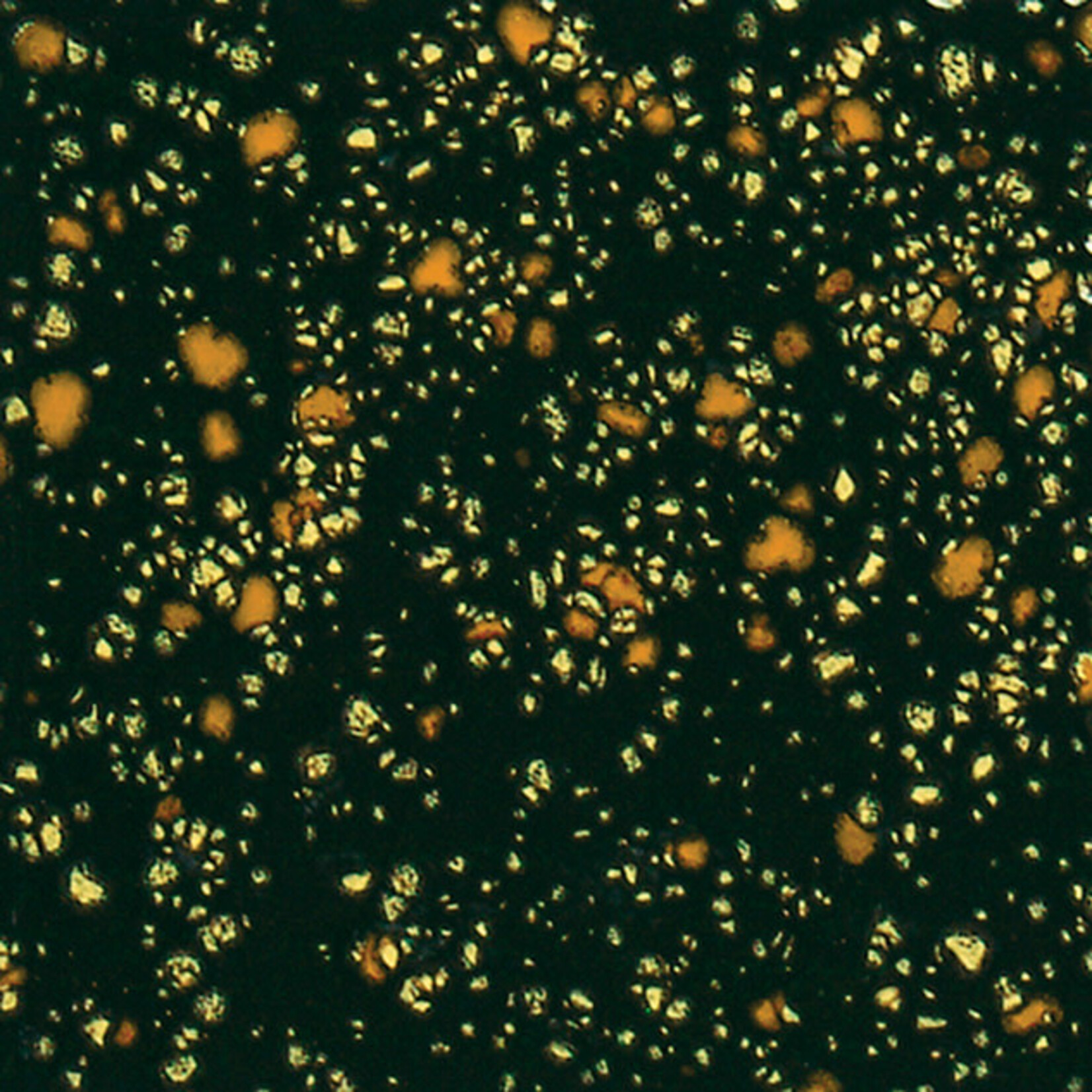 COLORAMICS, LLC MAYCO CG-798 BLACK IRIS