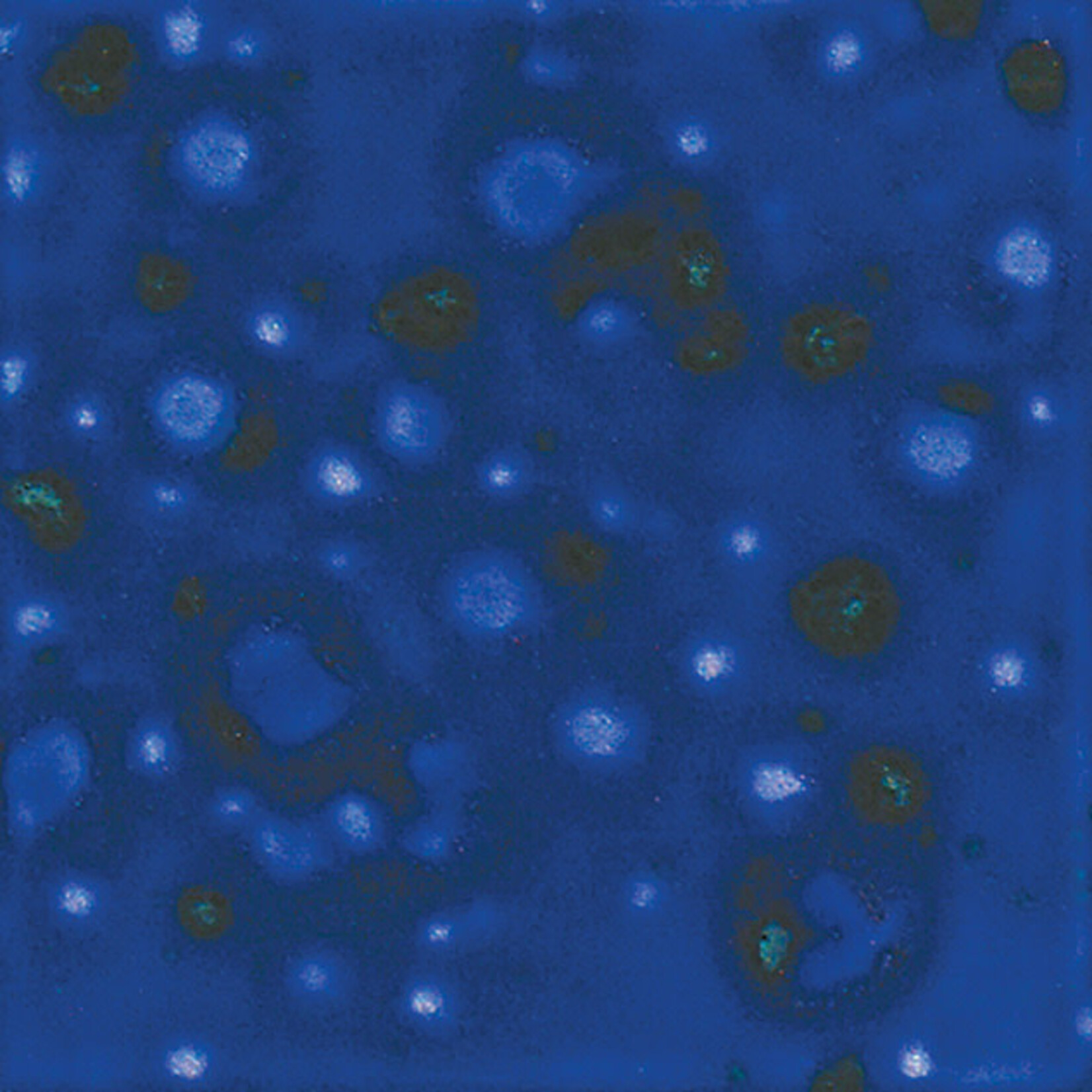 COLORAMICS, LLC MAYCO CG-958 BLUE LAGOON