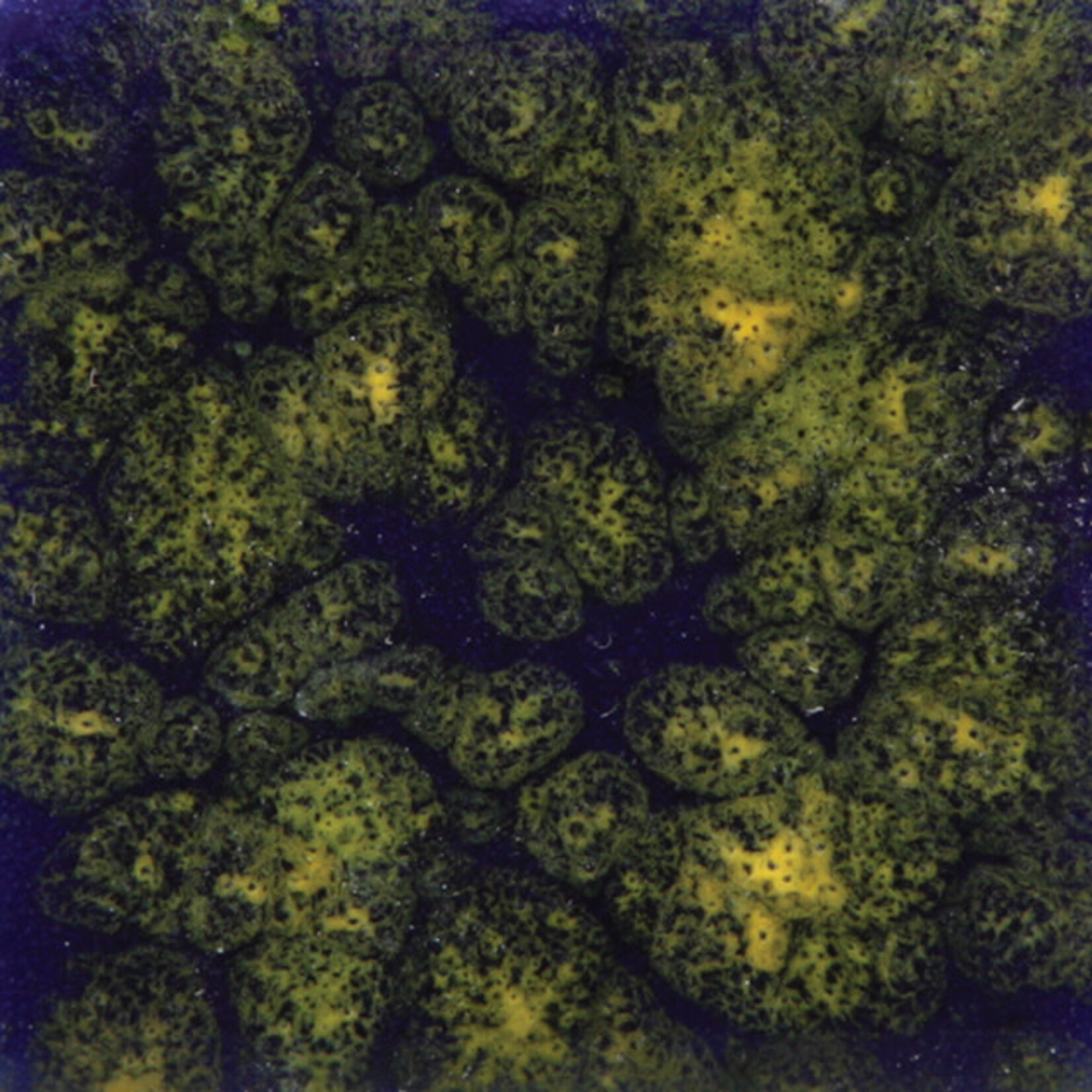 COLORAMICS, LLC MAYCO CG-990 STARRY NIGHT