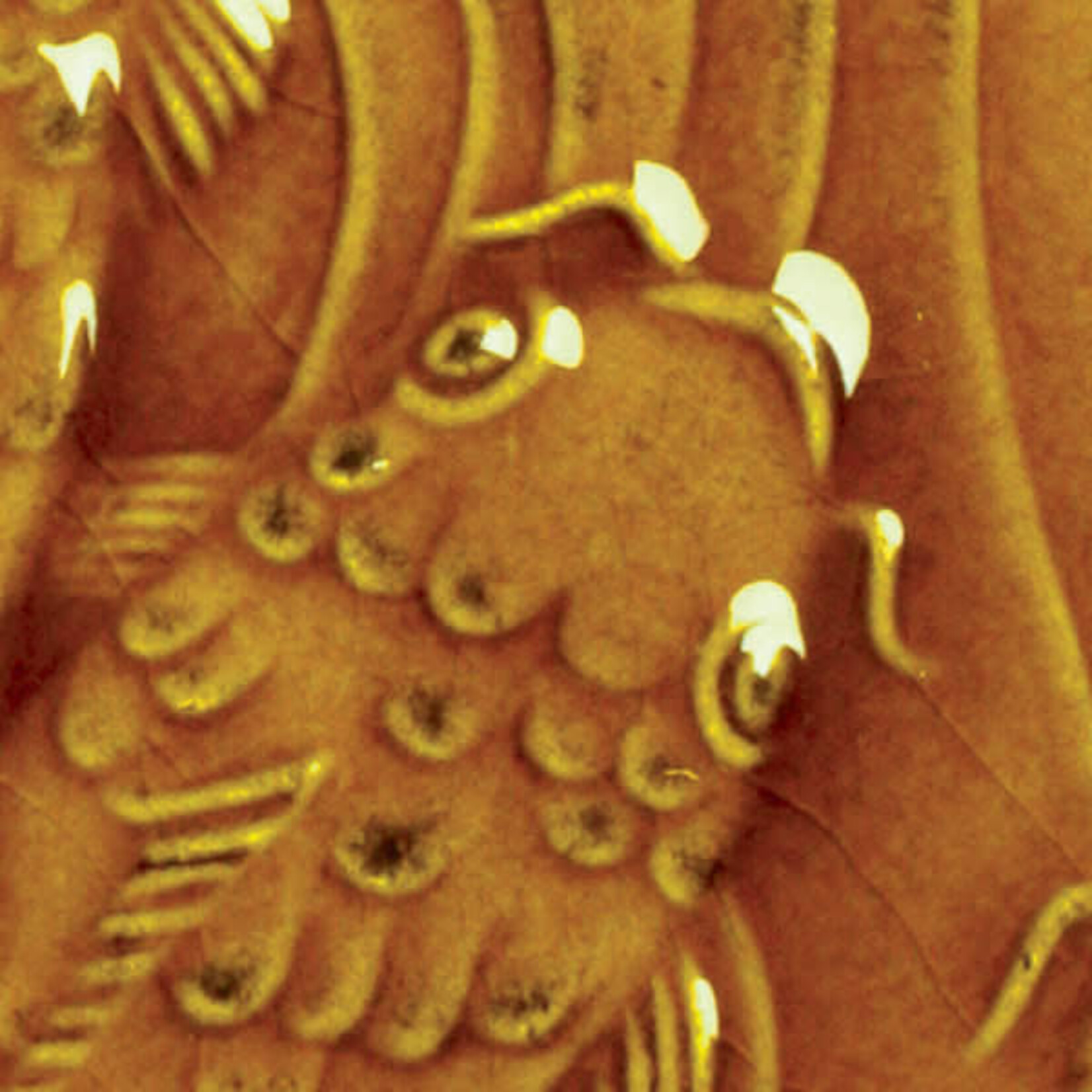 American Art Clay GZ LIQ LG-65 AMBER