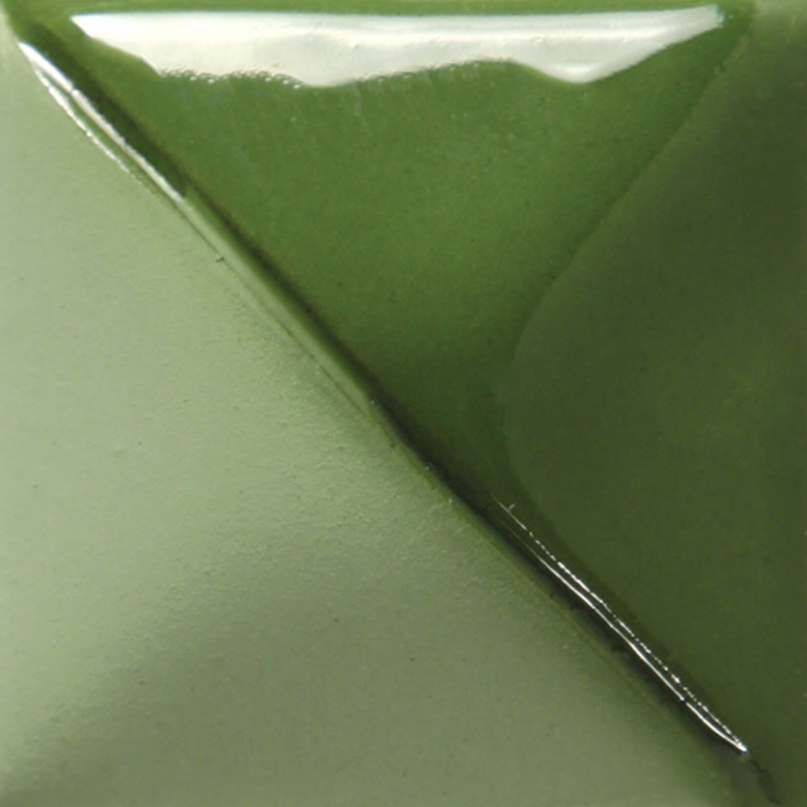 COLORAMICS, LLC MAYCO UG-21 LEAF GREEN UNDERGLAZE