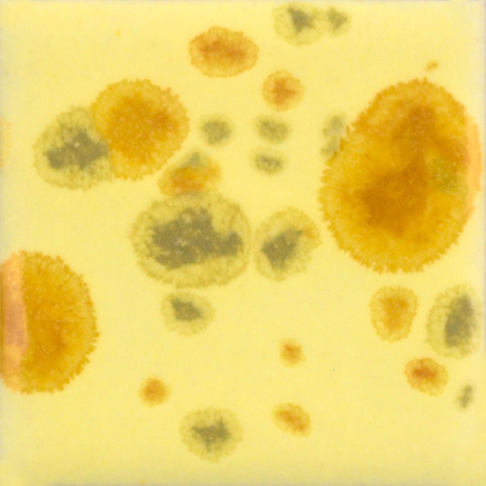 COLORAMICS, LLC MAYCO CG-1012 HAYSTACK PT