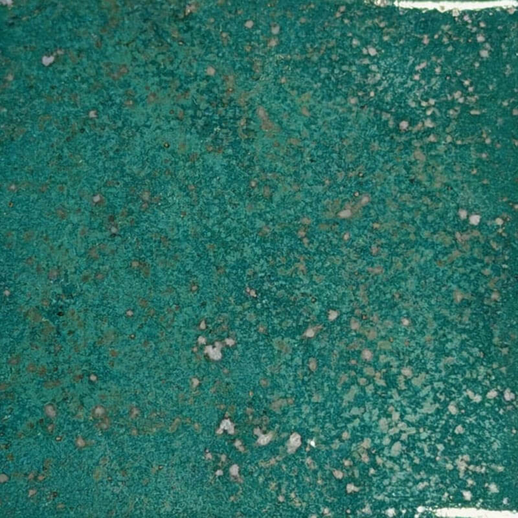 Coyote Clay & Color COYOTE MBG-229 BASILISK HIDE