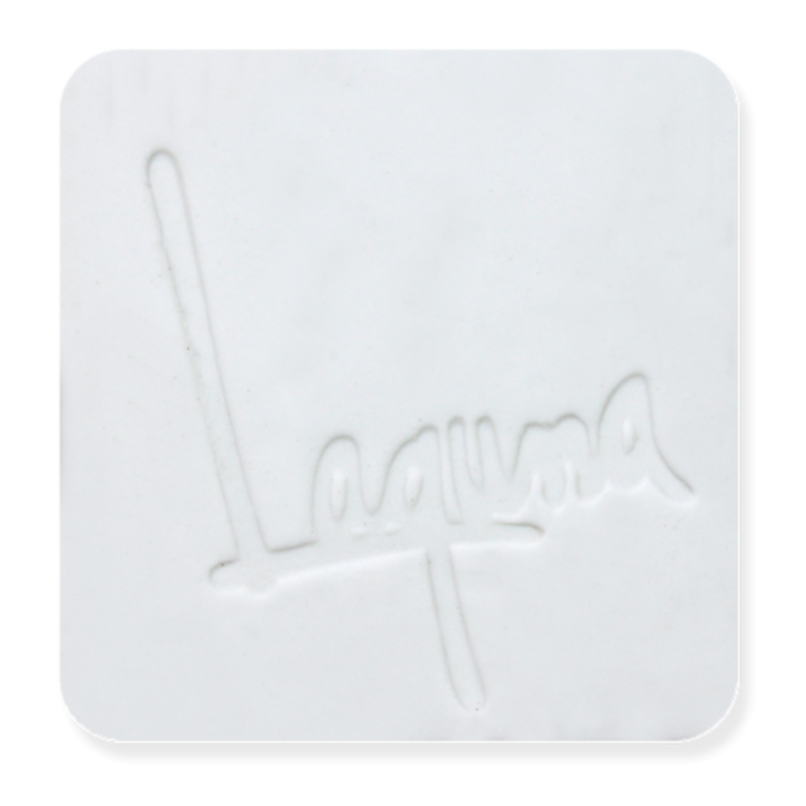 Laguna Clay Ohio LAGUNA MILLER 550 ^10 PORCELAIN WC-631