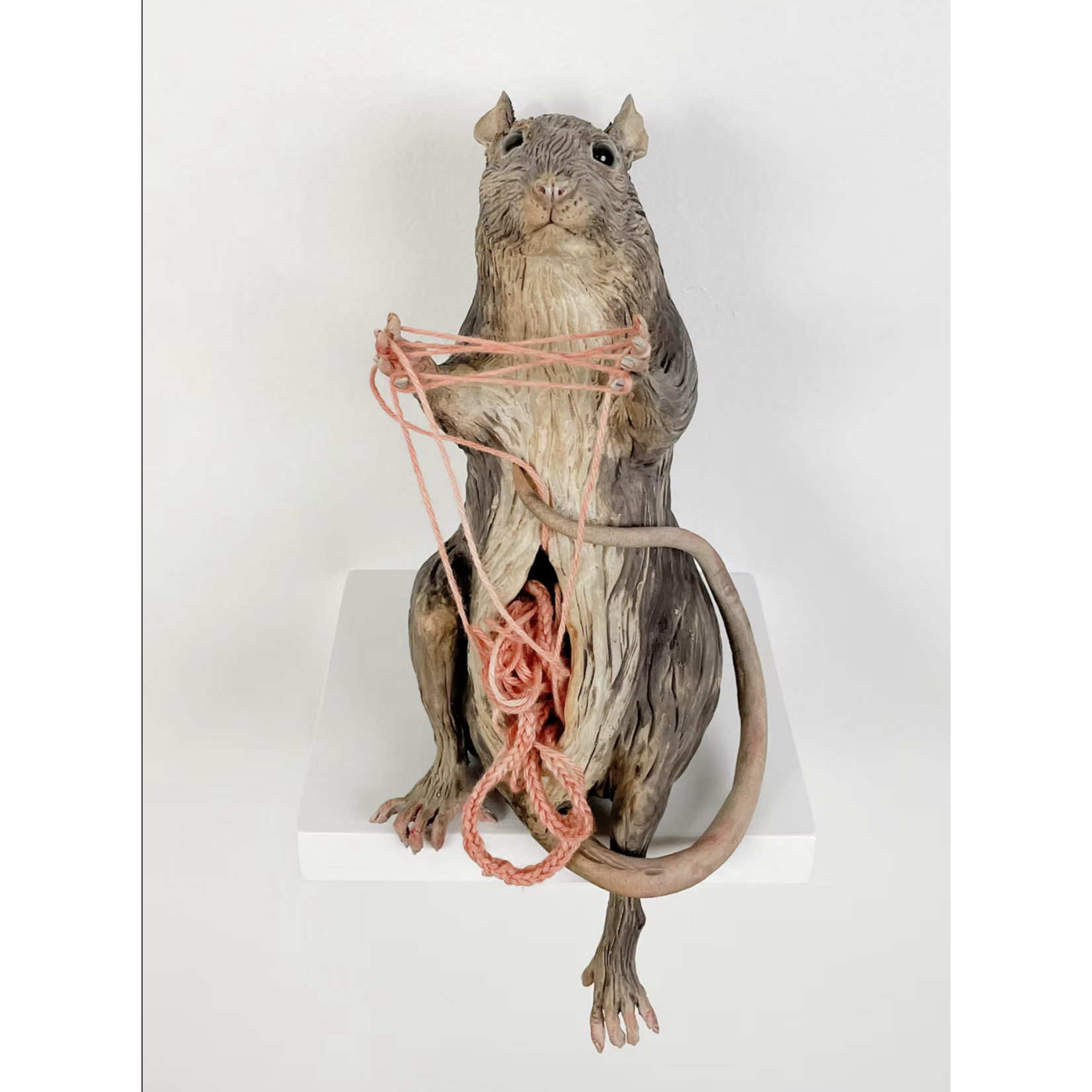 Small Scale Animals, Tuesday 6:30pm