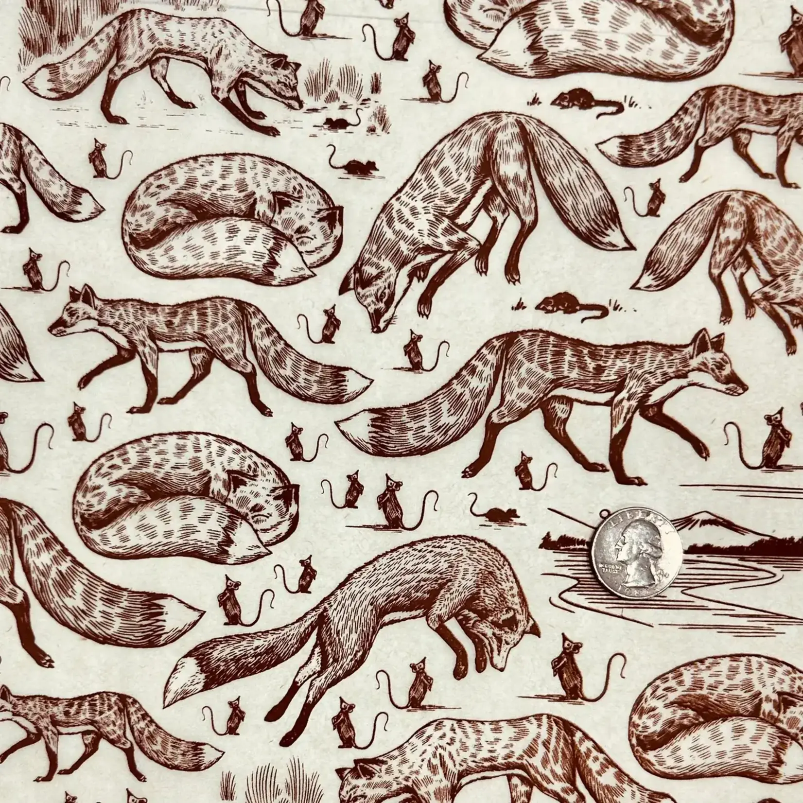 Elan Pottery Transfers Foxy Loxy Underglaze Transfer - Brown