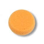 Basic Sponges
