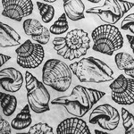 Elan Pottery Transfers Shells Multi Underglaze Transfer - Black