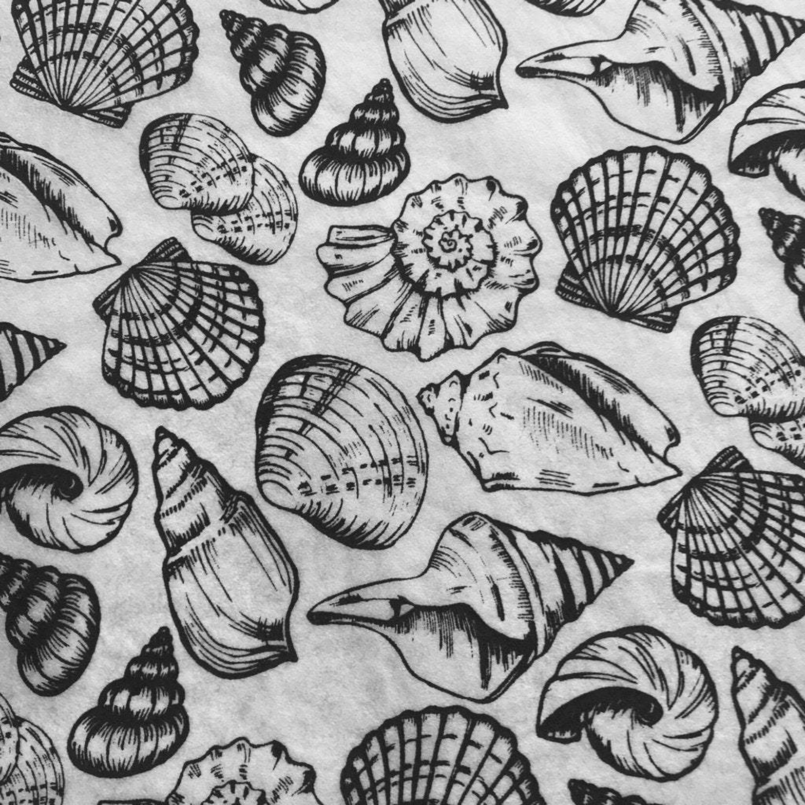Elan Pottery Transfers Shells Multi Underglaze Transfer - Black