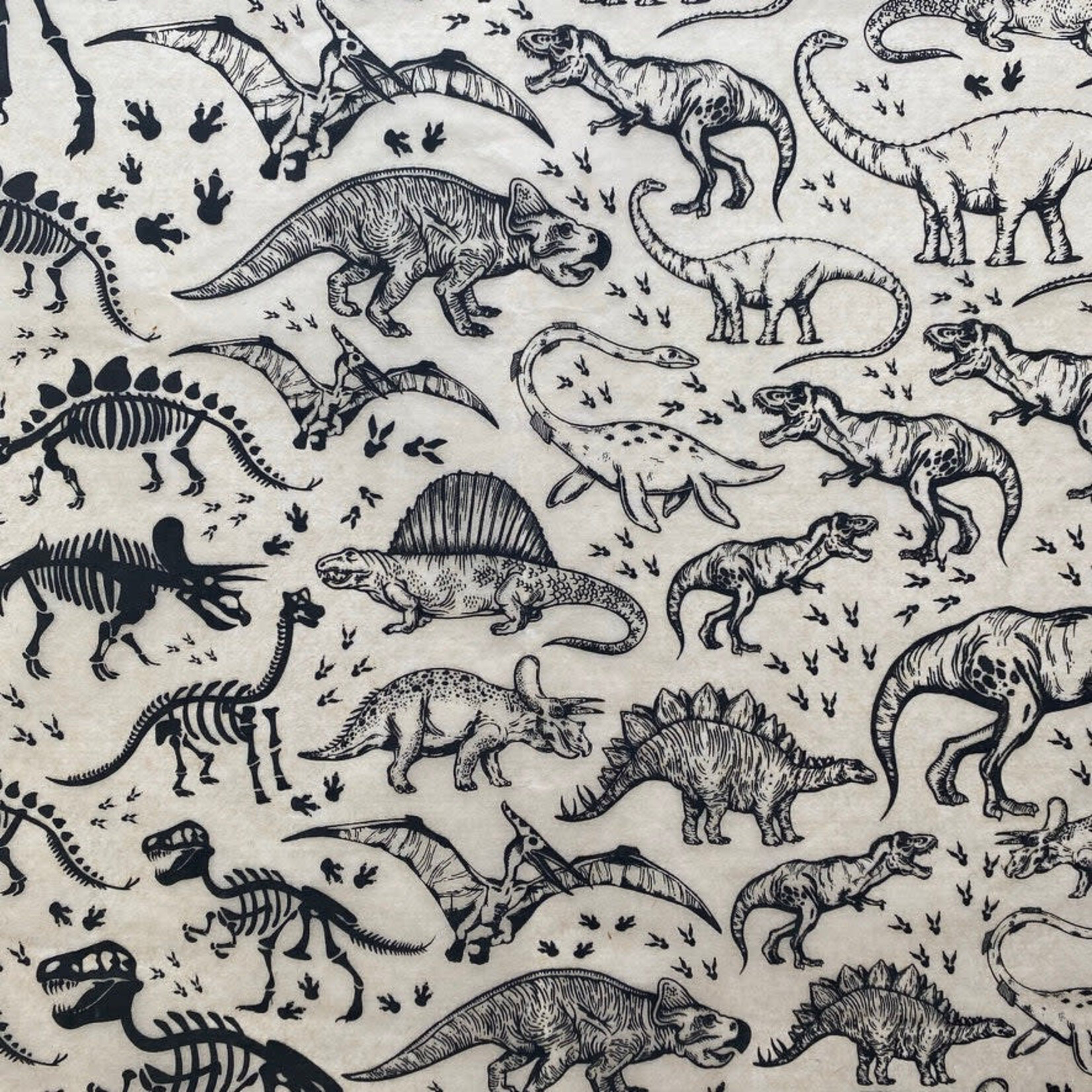 Elan Pottery Transfers Dinosaurs Underglaze Transfer - Black