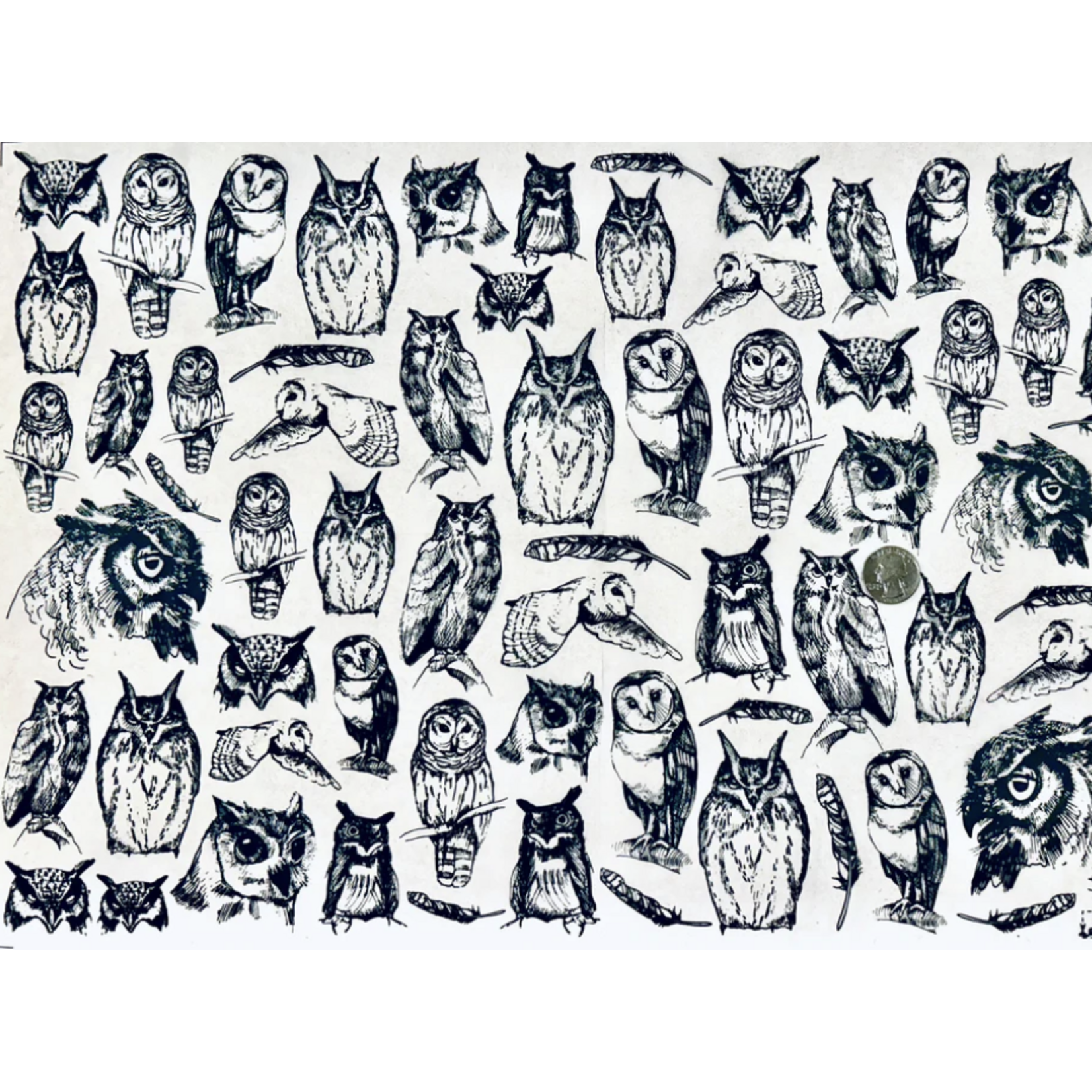 Elan Pottery Transfers Owls Underglaze Transfer - Black