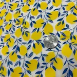 Elan Pottery Transfers Lemons Underglaze Transfer - Multi