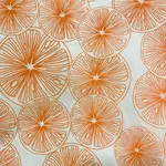 Elan Pottery Transfers Slices Underglaze Transfer - Orange