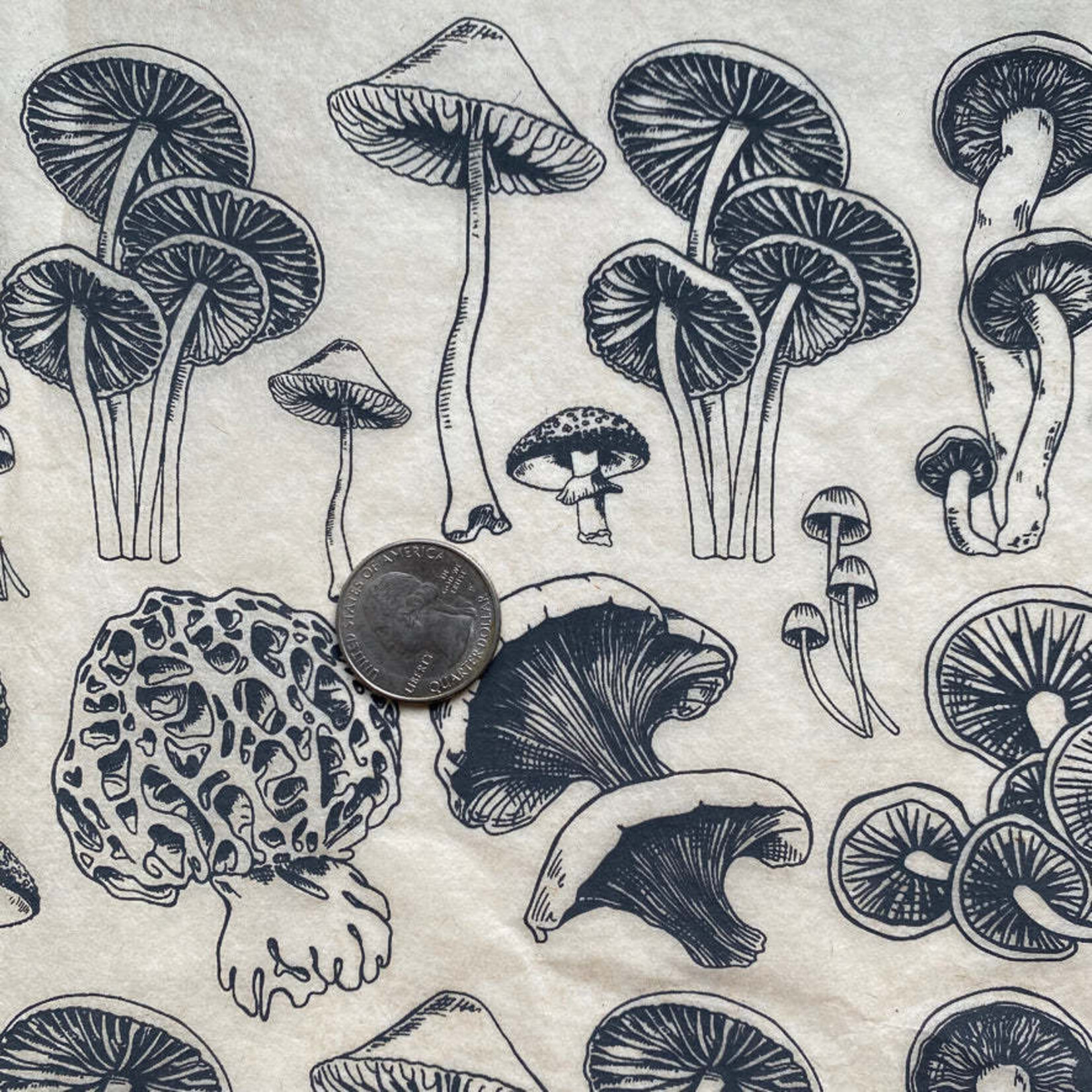 Elan Pottery Transfers Mushrooms Natural Underglaze Transfer - Brown