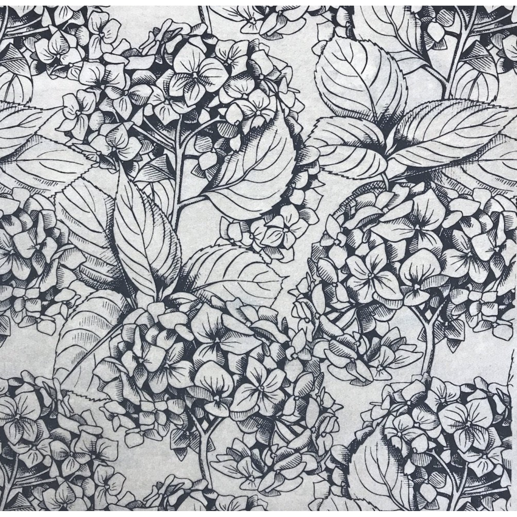 Elan Pottery Transfers Hydrangea Underglaze Transfer - Black