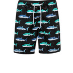 Board Short - Shark