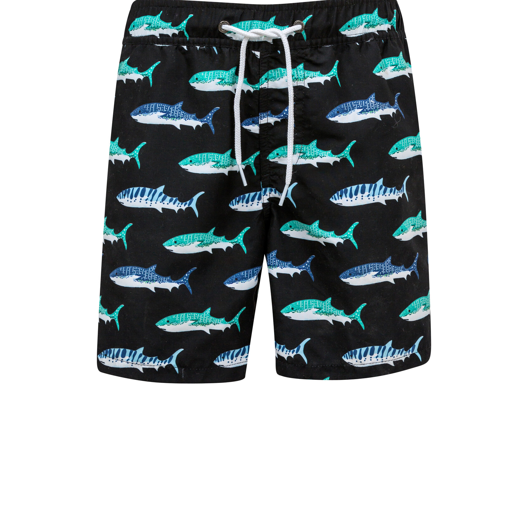 Board Short - Shark