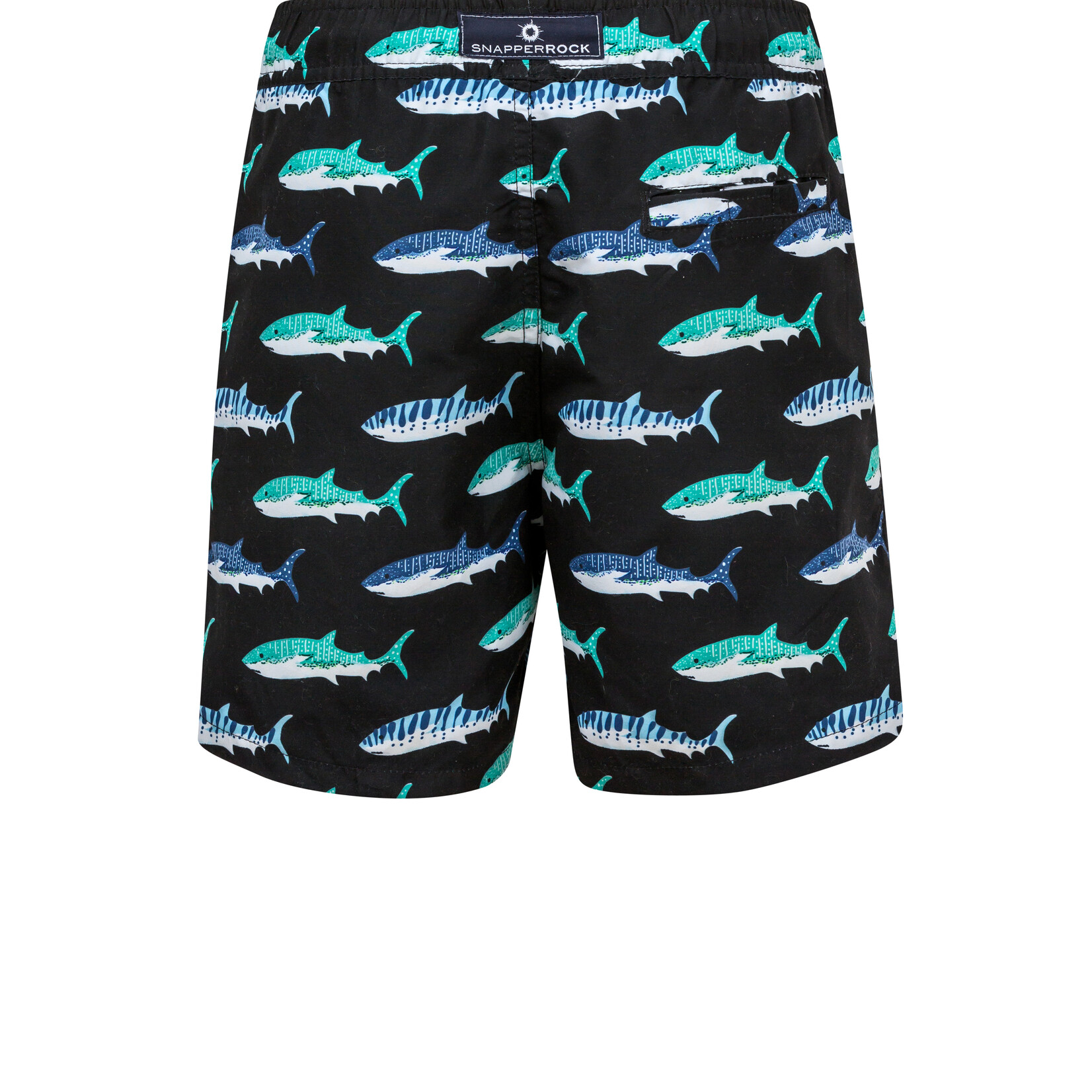 Board Short - Shark