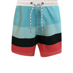 SURF STRIPE BOARD SHORT