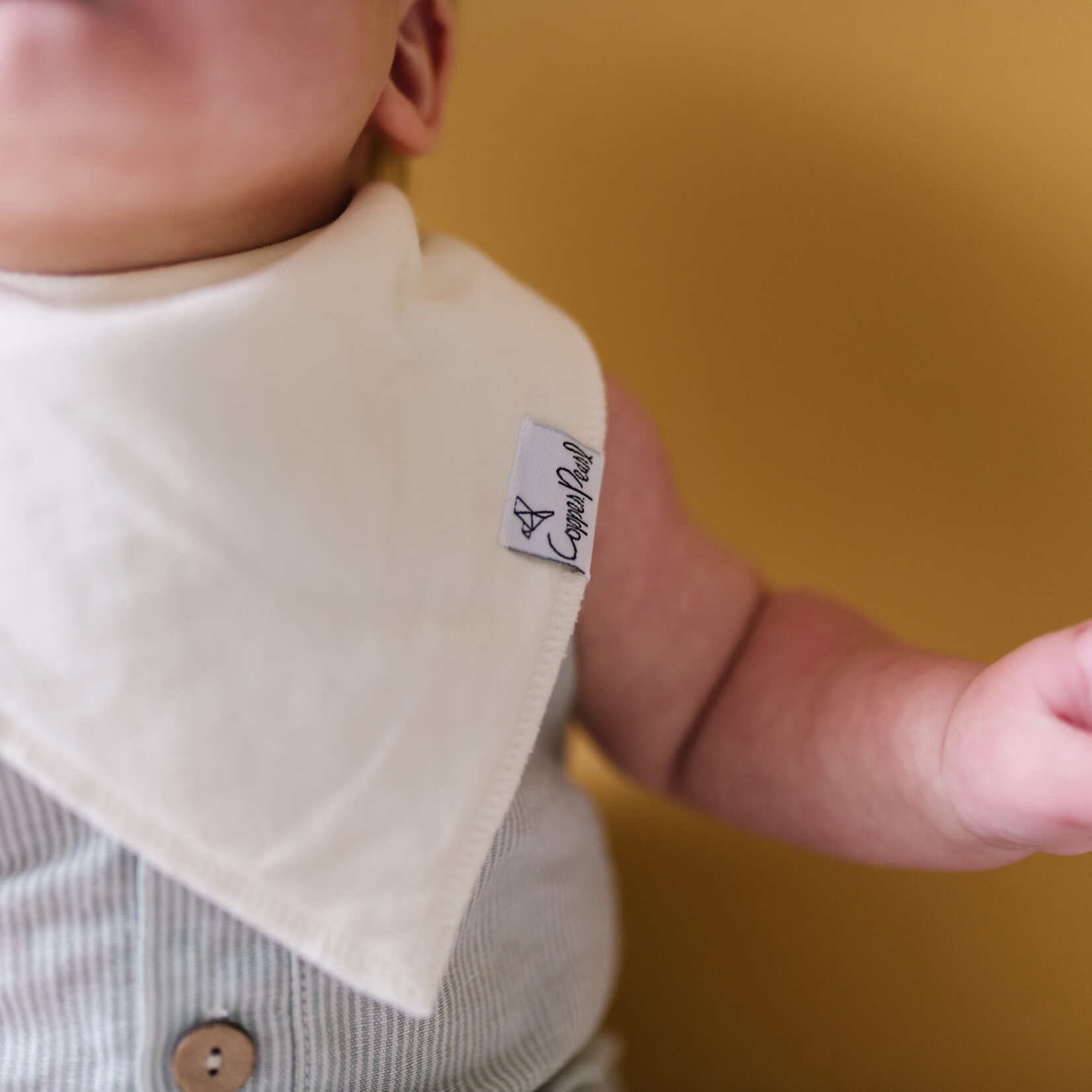 Stone Baby Bandana Bib Set (4-pack)
