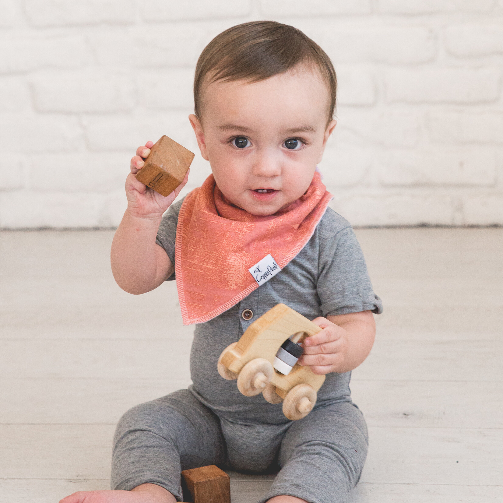 Bison Baby Bandana Bib Set (4-pack)