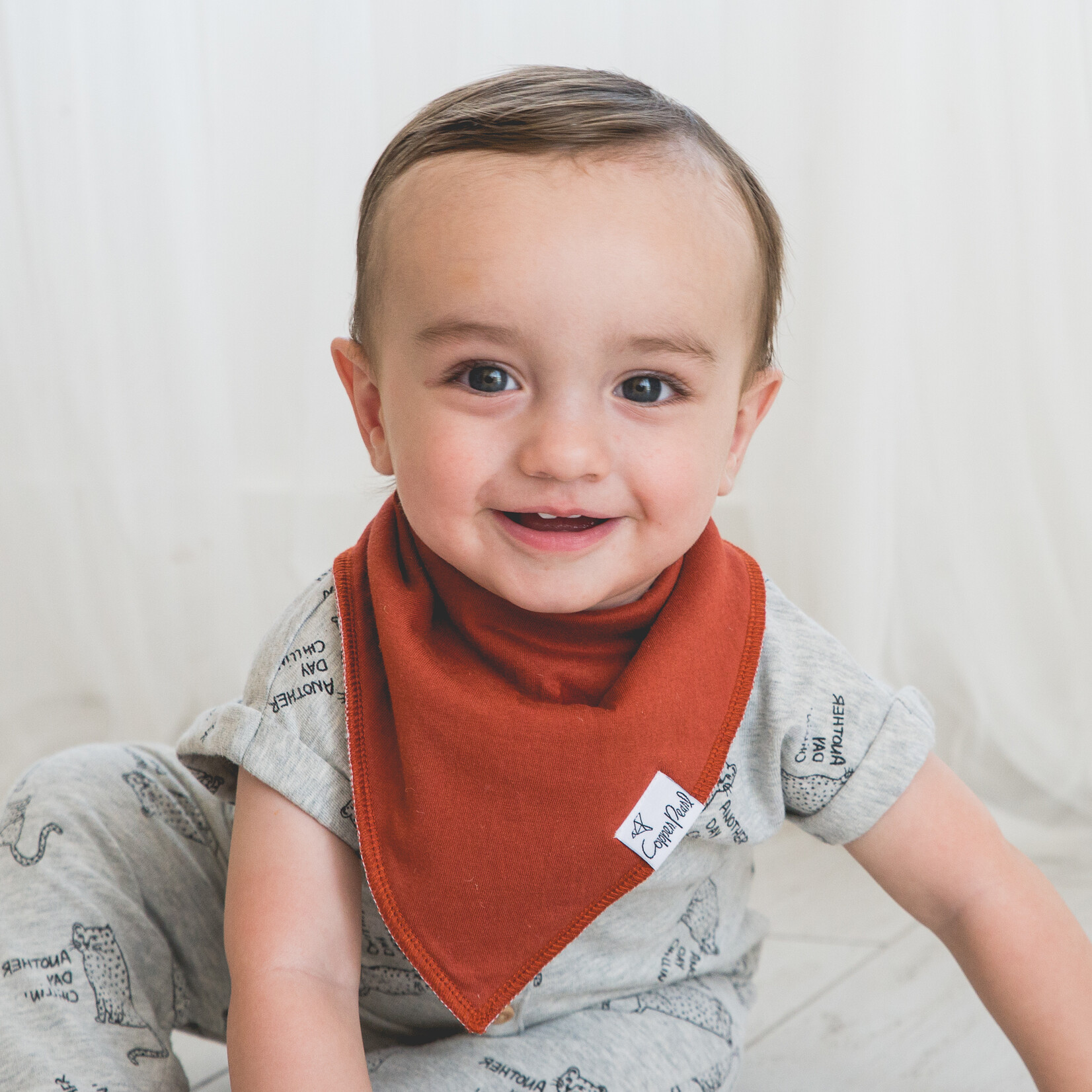 Ridge Baby Bandana Bib Set (4-pack)