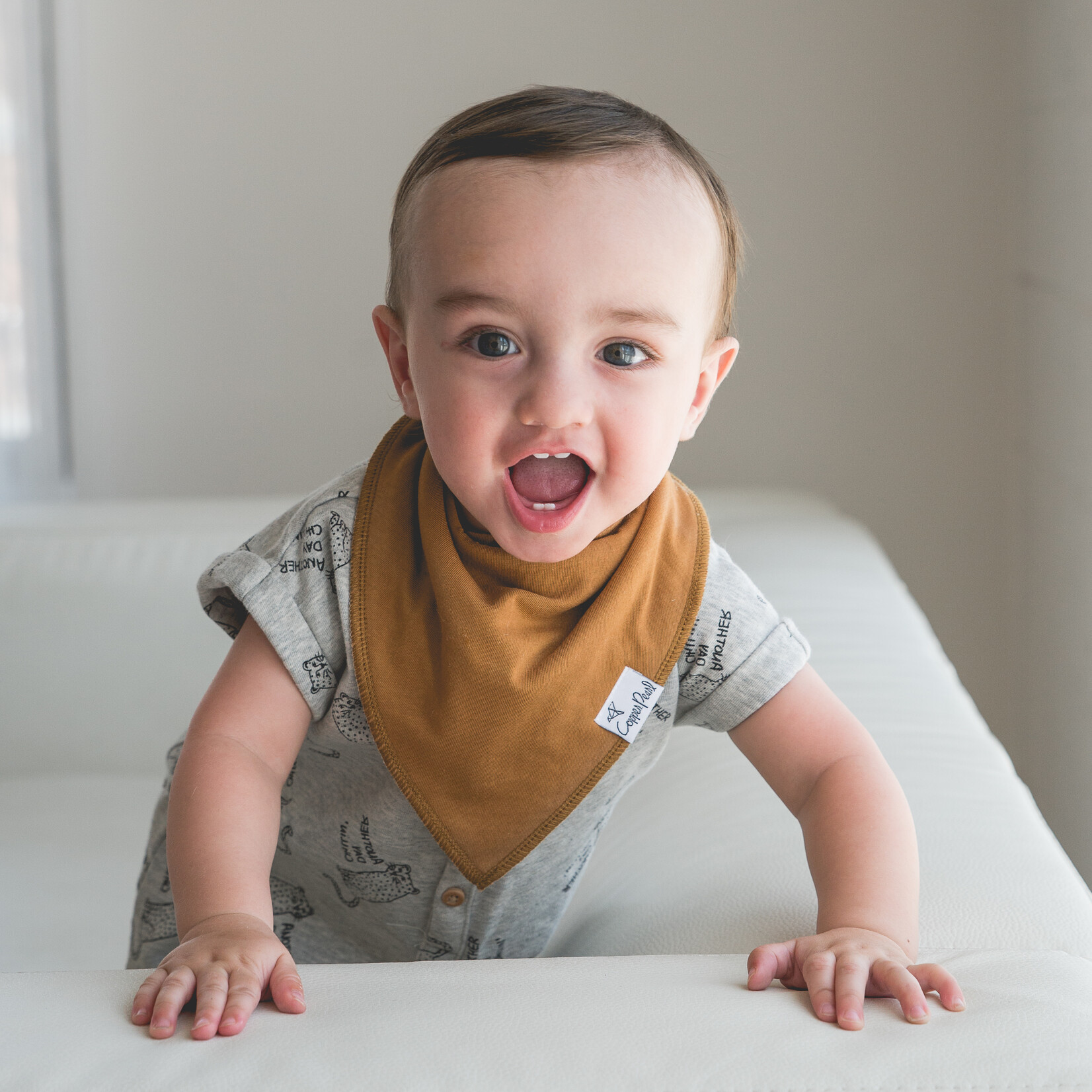 Ridge Baby Bandana Bib Set (4-pack)