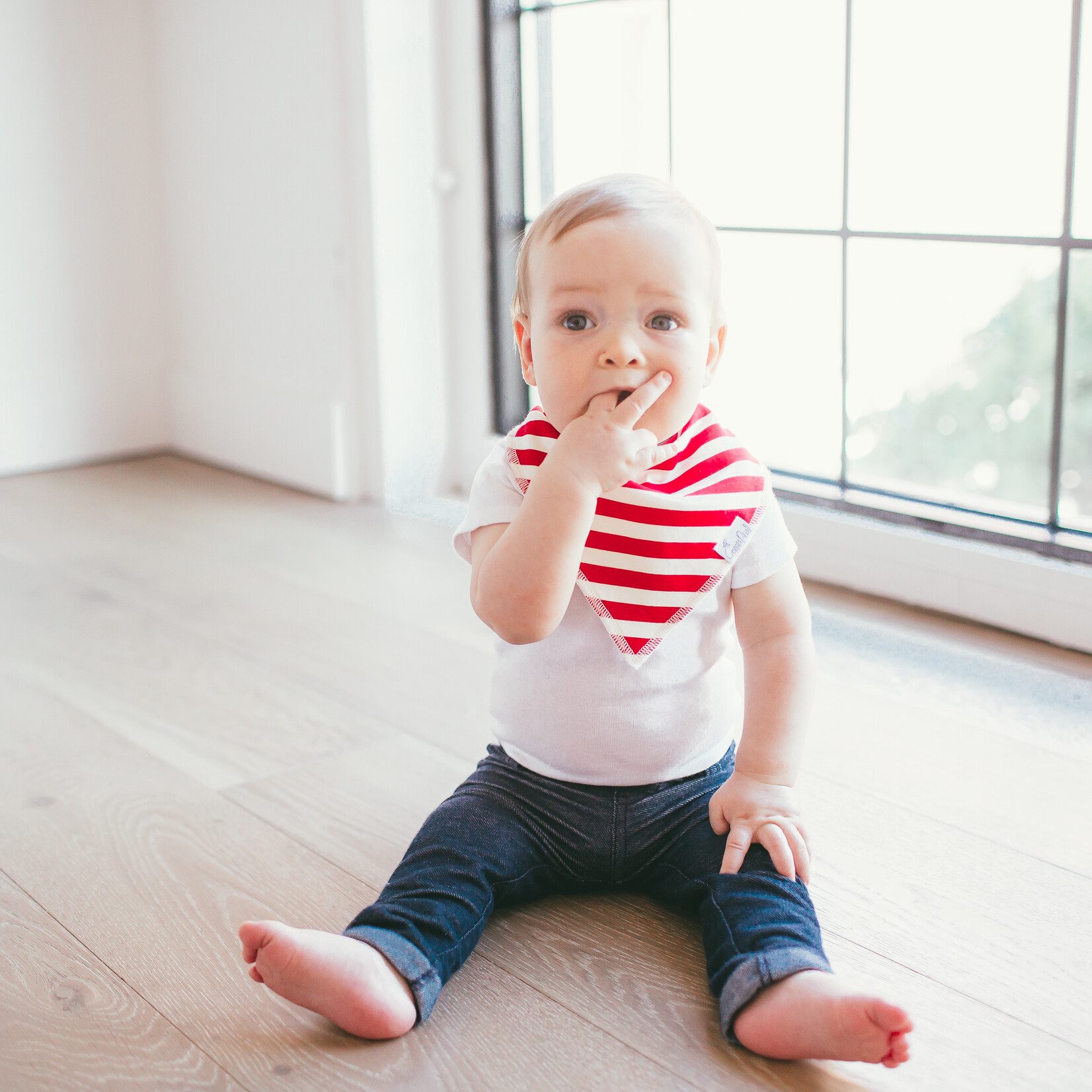 Alpine Baby Bandana Bib Set (4-pack)