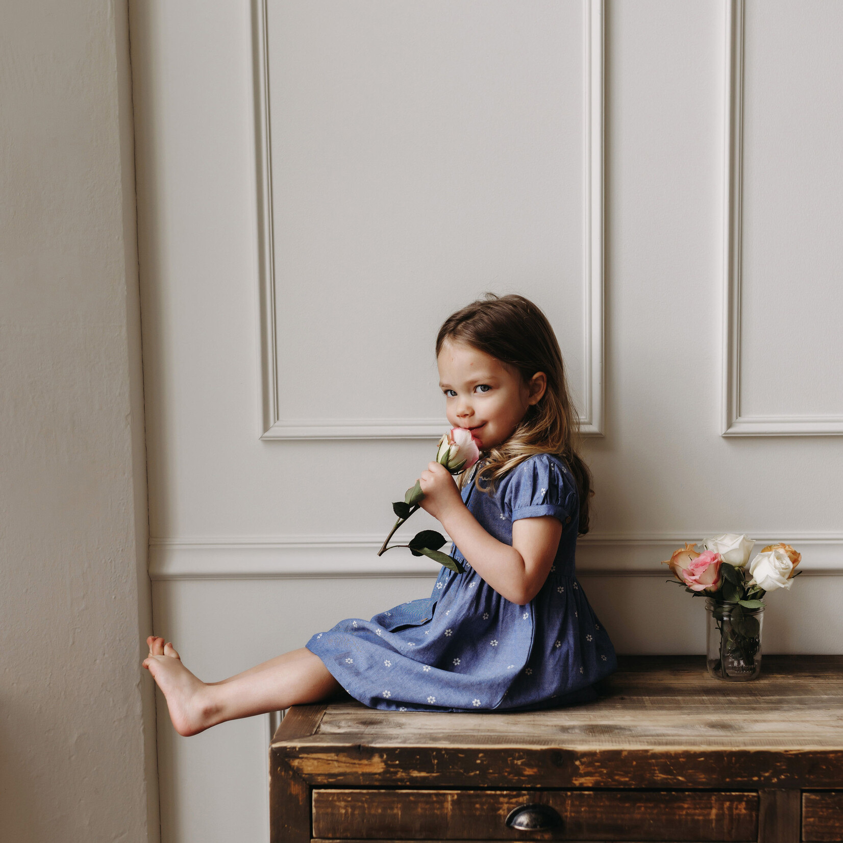 City Mouse Round Collar Dress - Chambray - Daisies