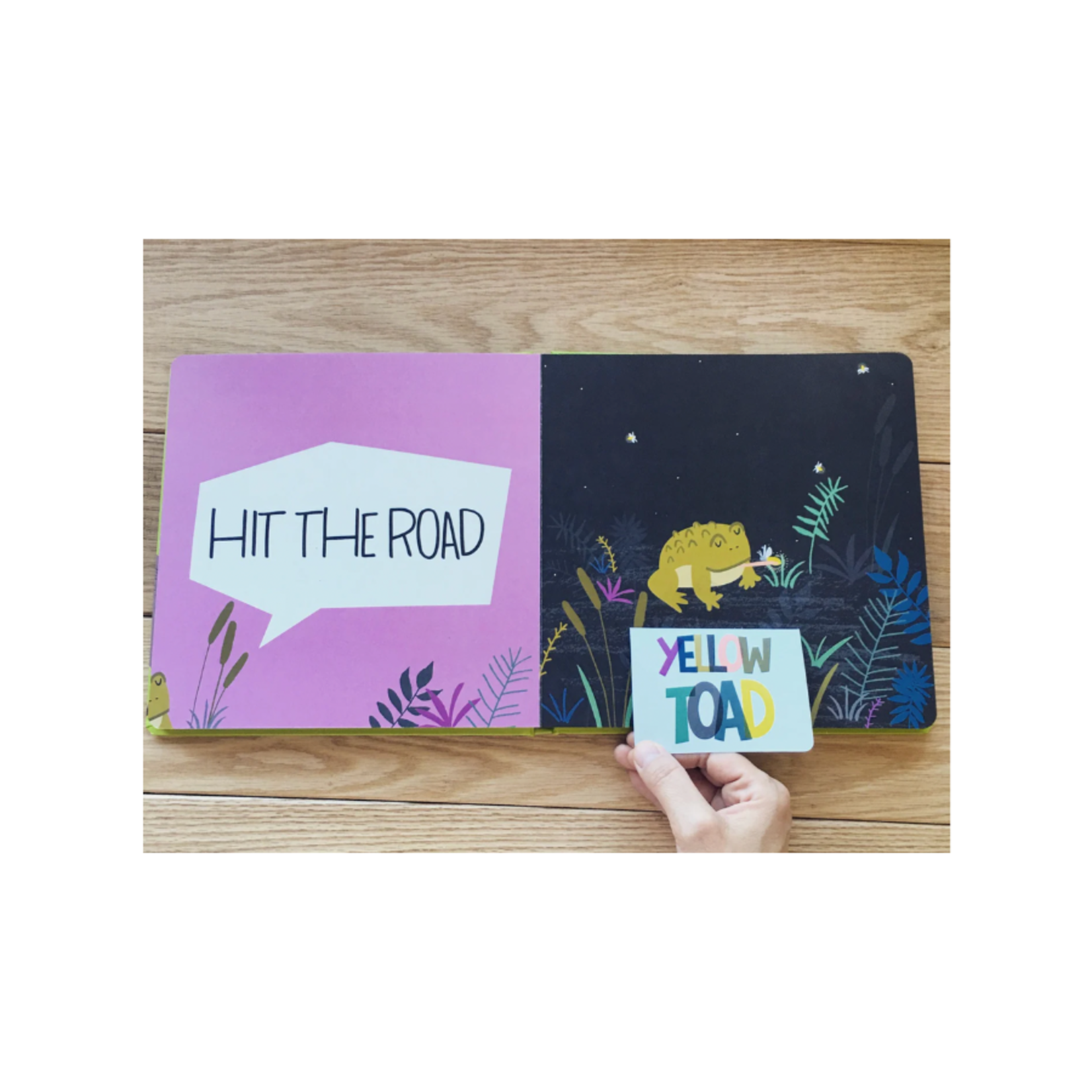 Gotta Go, Buffalo Children's Book