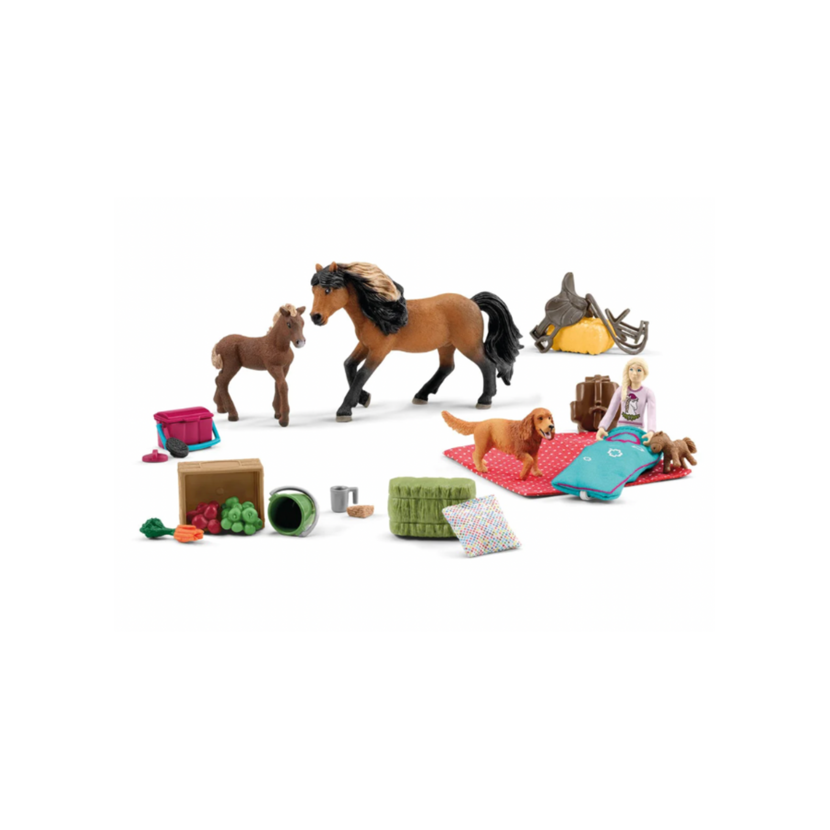 Horse Club Advent Calendar