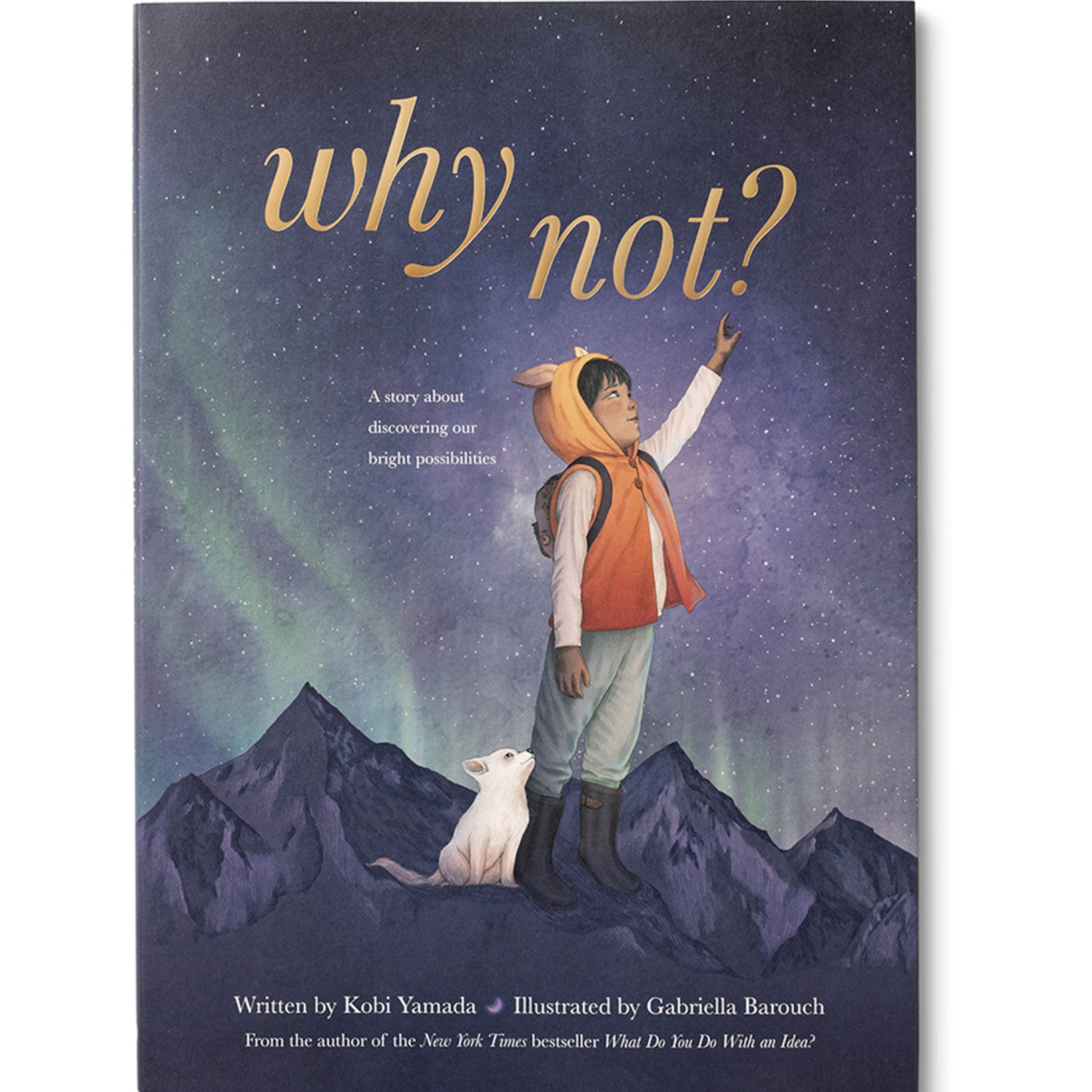 Why Not Hardcover Book