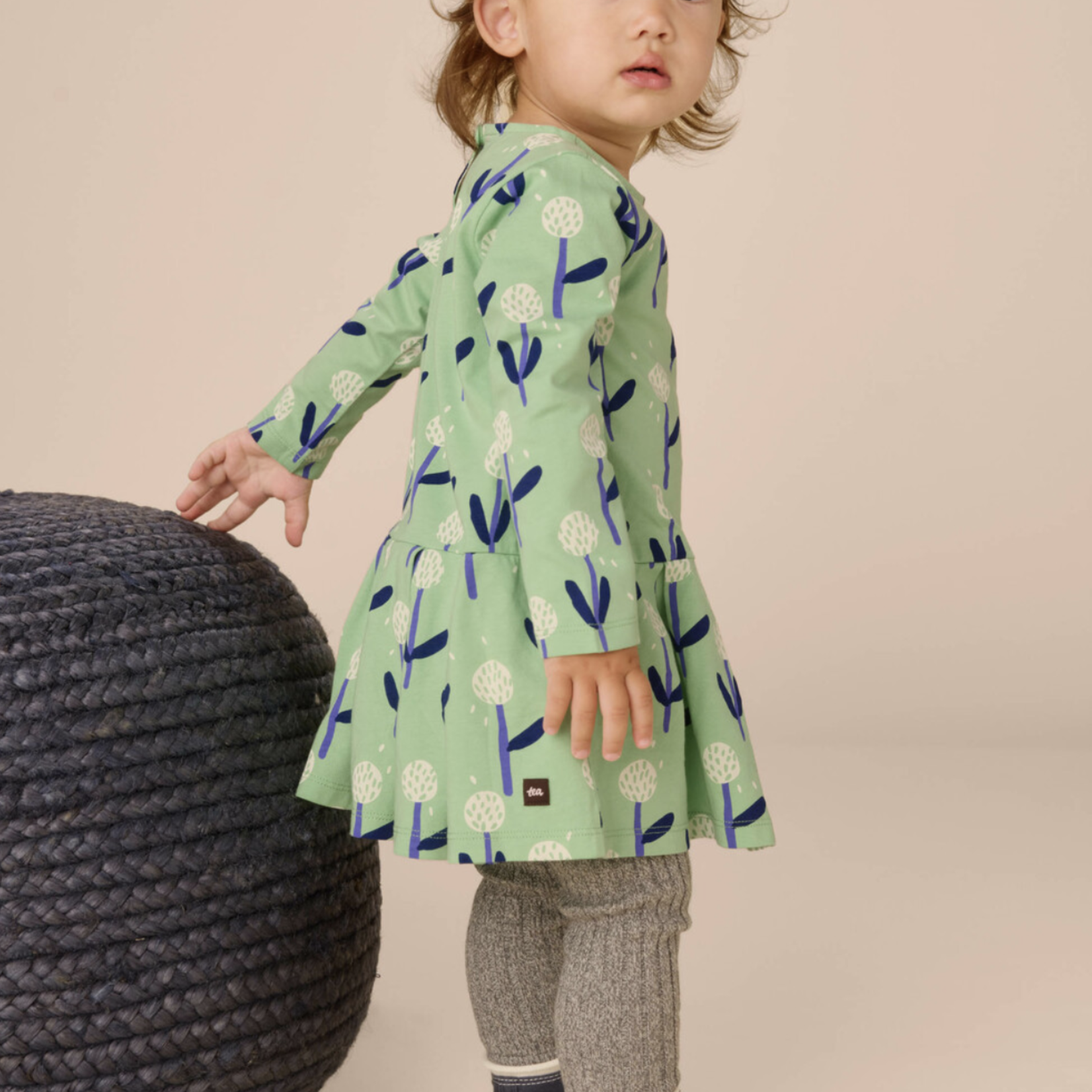 Long Sleeve Pleated Skater Dress|| Make a Wish Dandelion