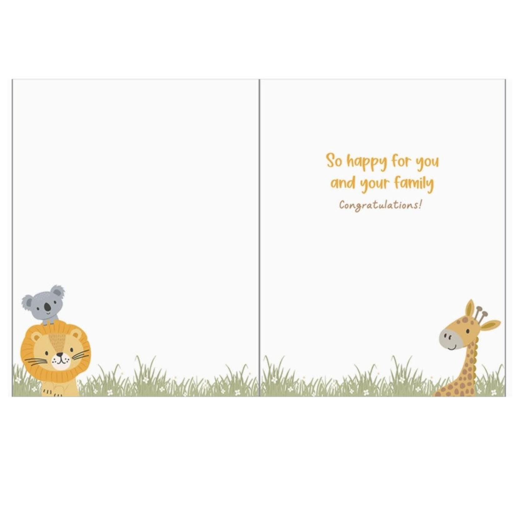 Gina B Designs Baby Greeting Card - Animal Hammock