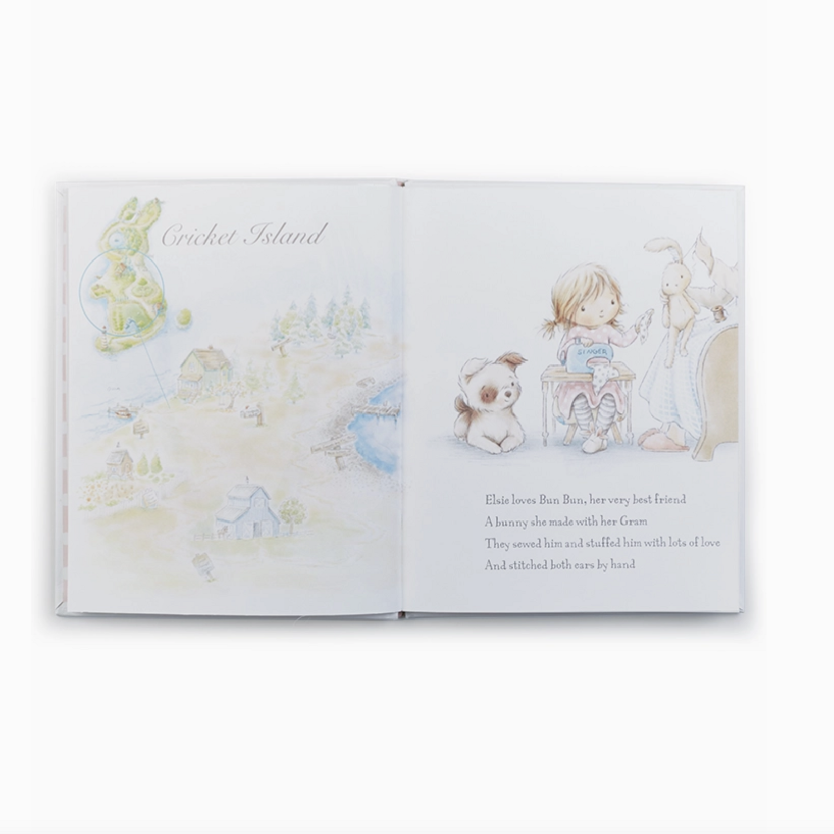 Bun Bun A Lovey Story Book
