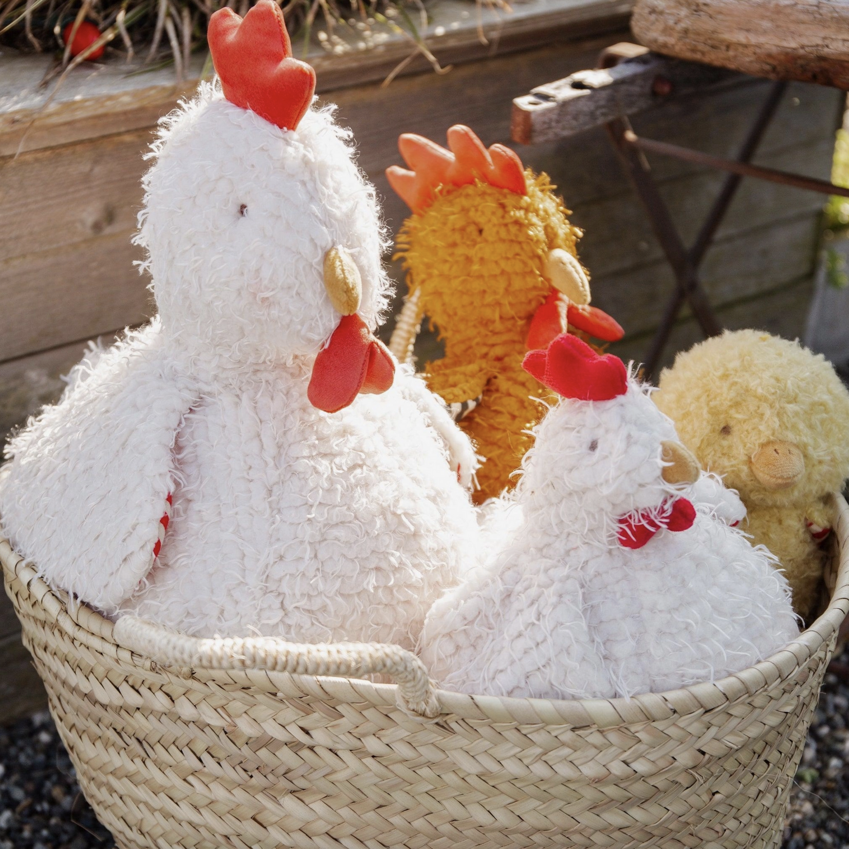 Big Clucky the Chicken