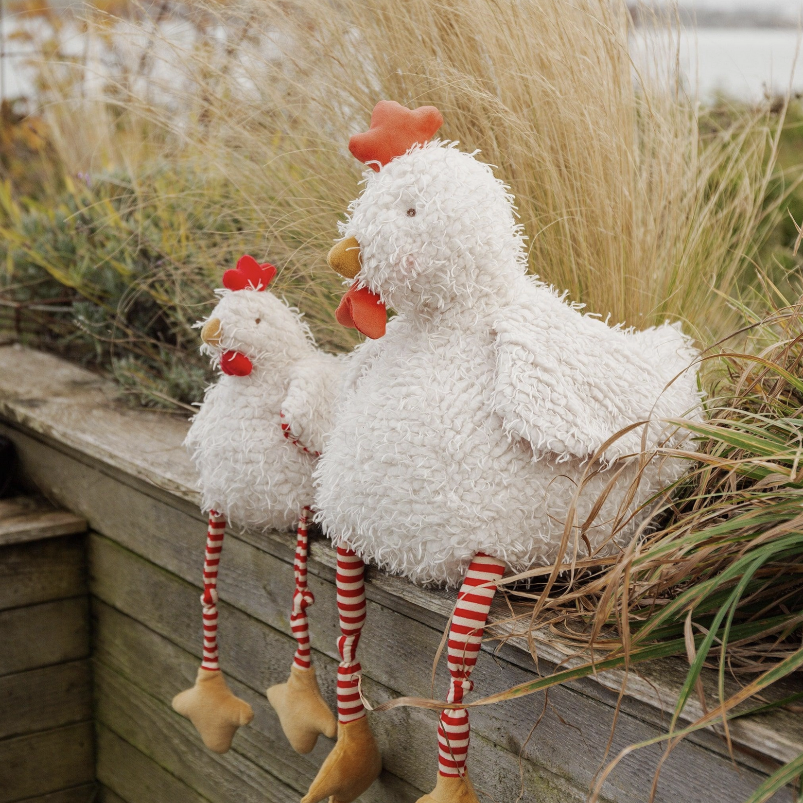 Big Clucky the Chicken