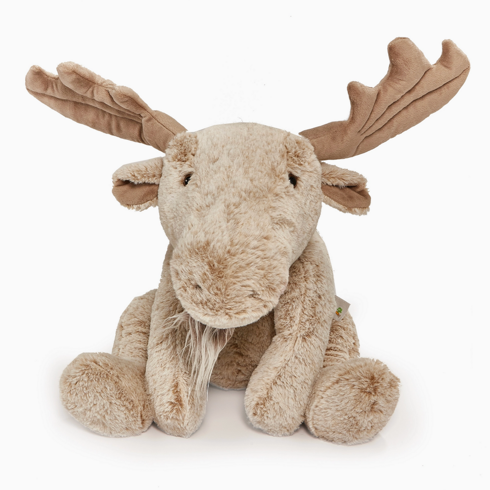 Great Big Bruce the Moose