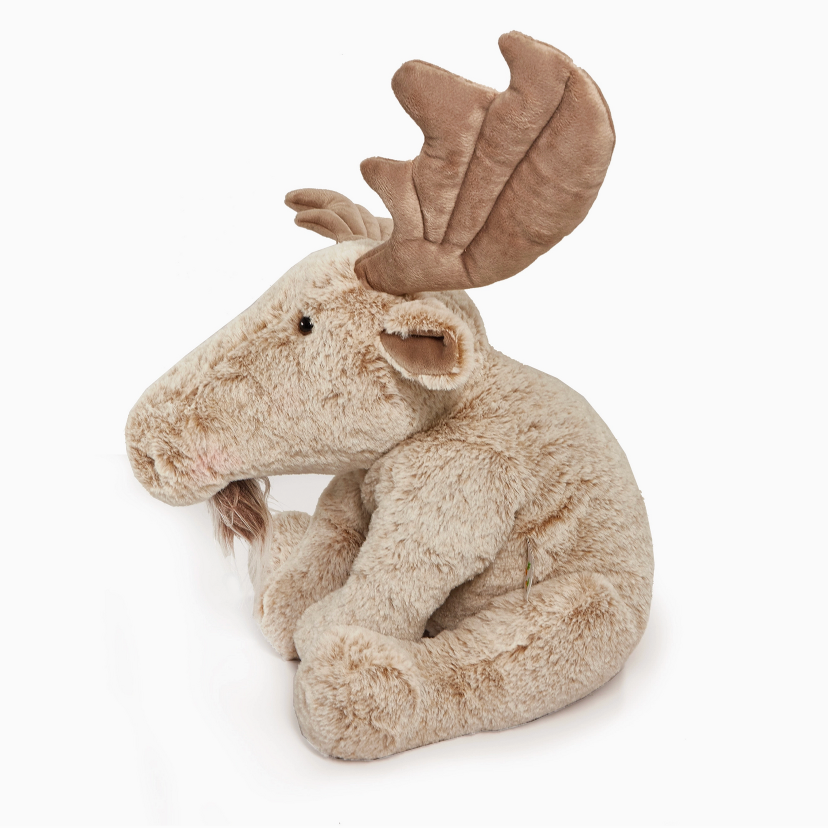 Great Big Bruce the Moose