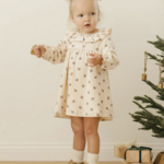 Velour Baby Dress || Holly Berry