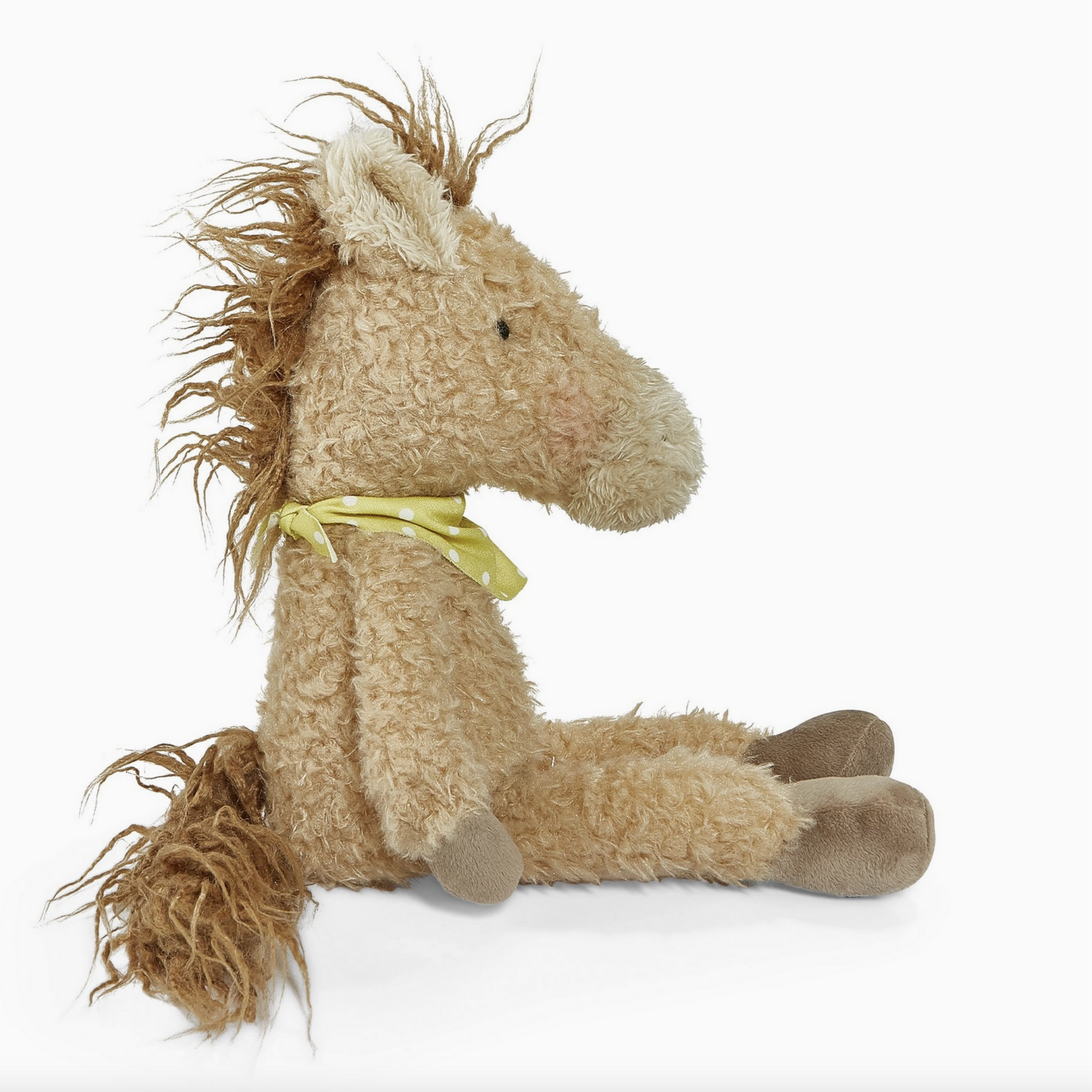 Pony Boy Horse