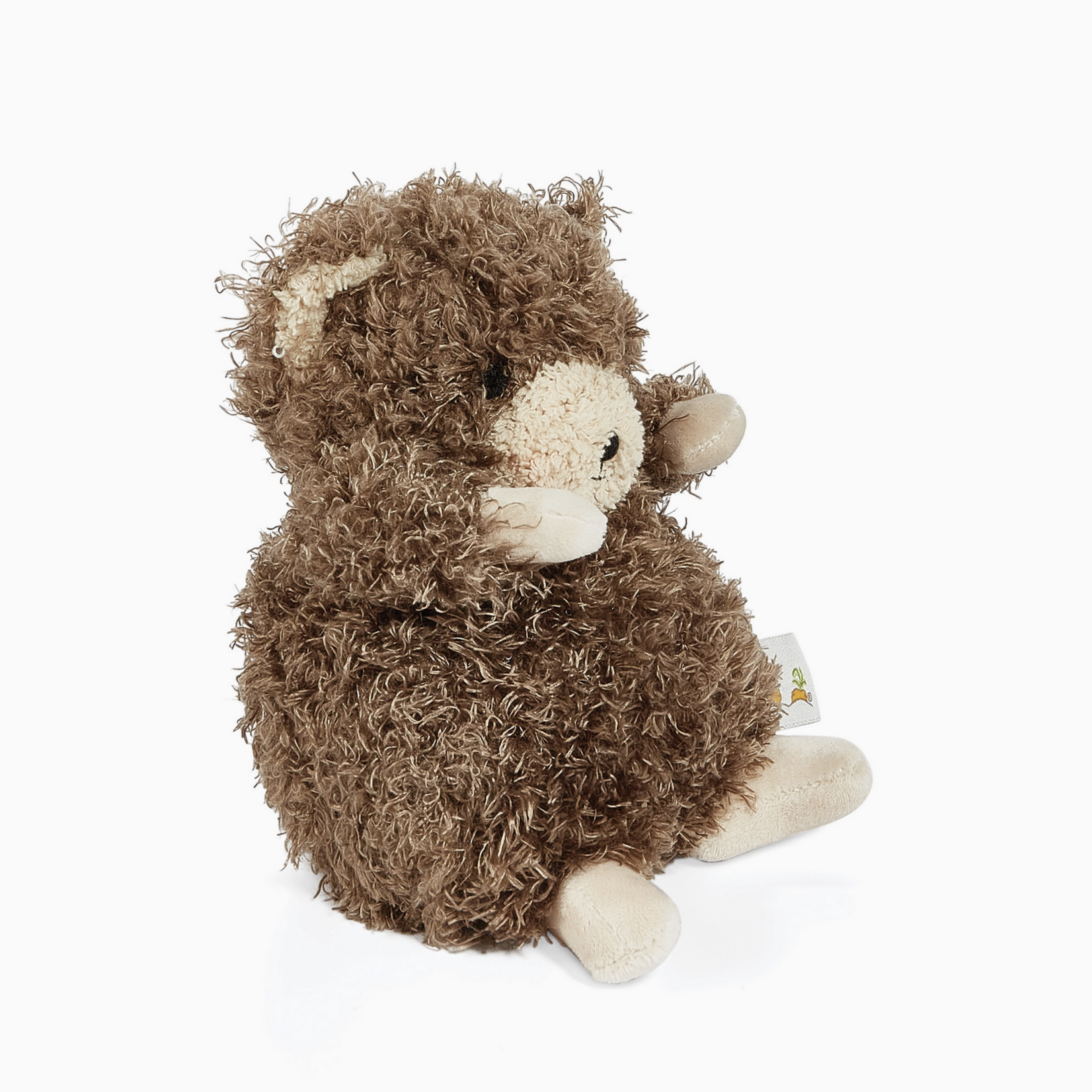 Wee Cubby the Bear