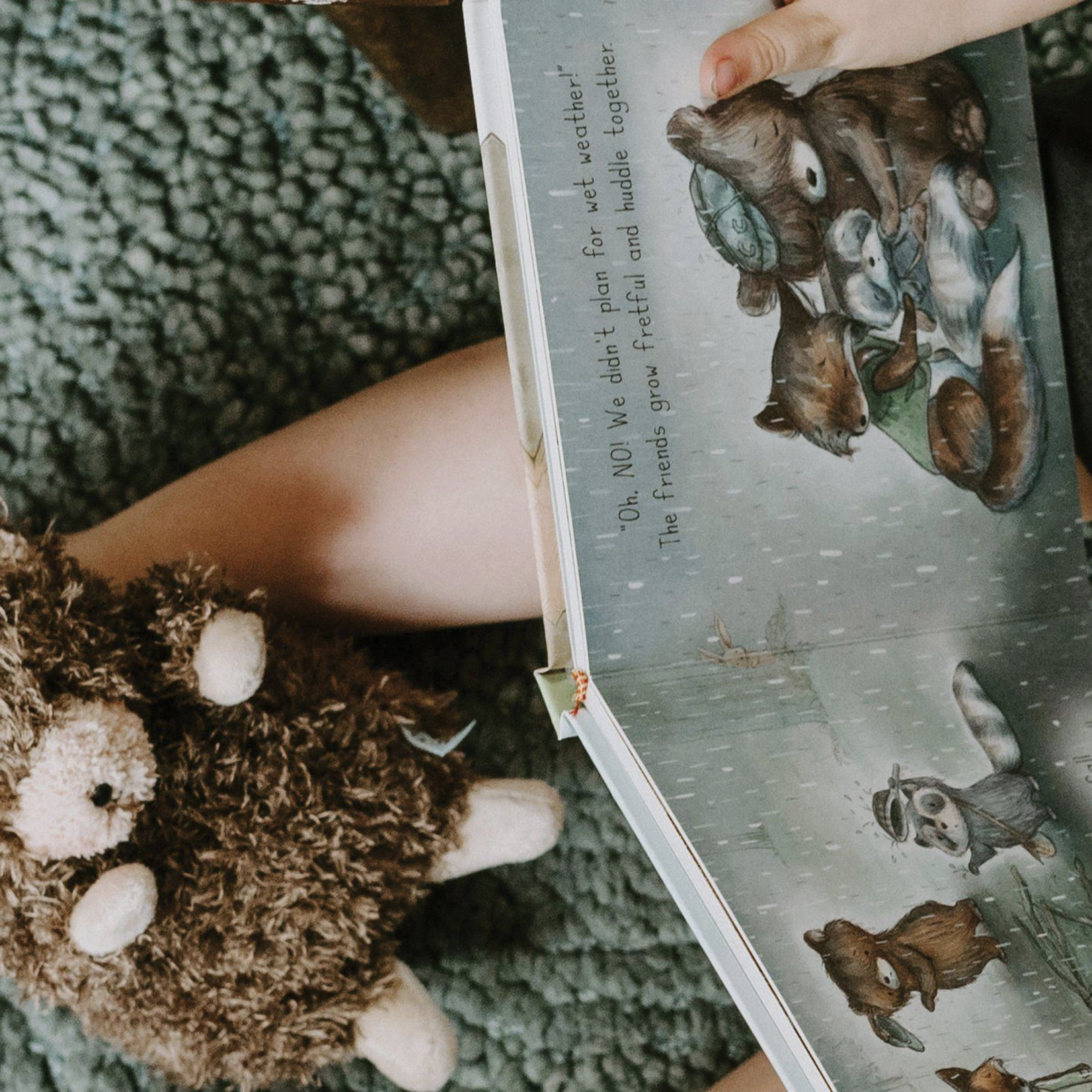 Wee Cubby the Bear